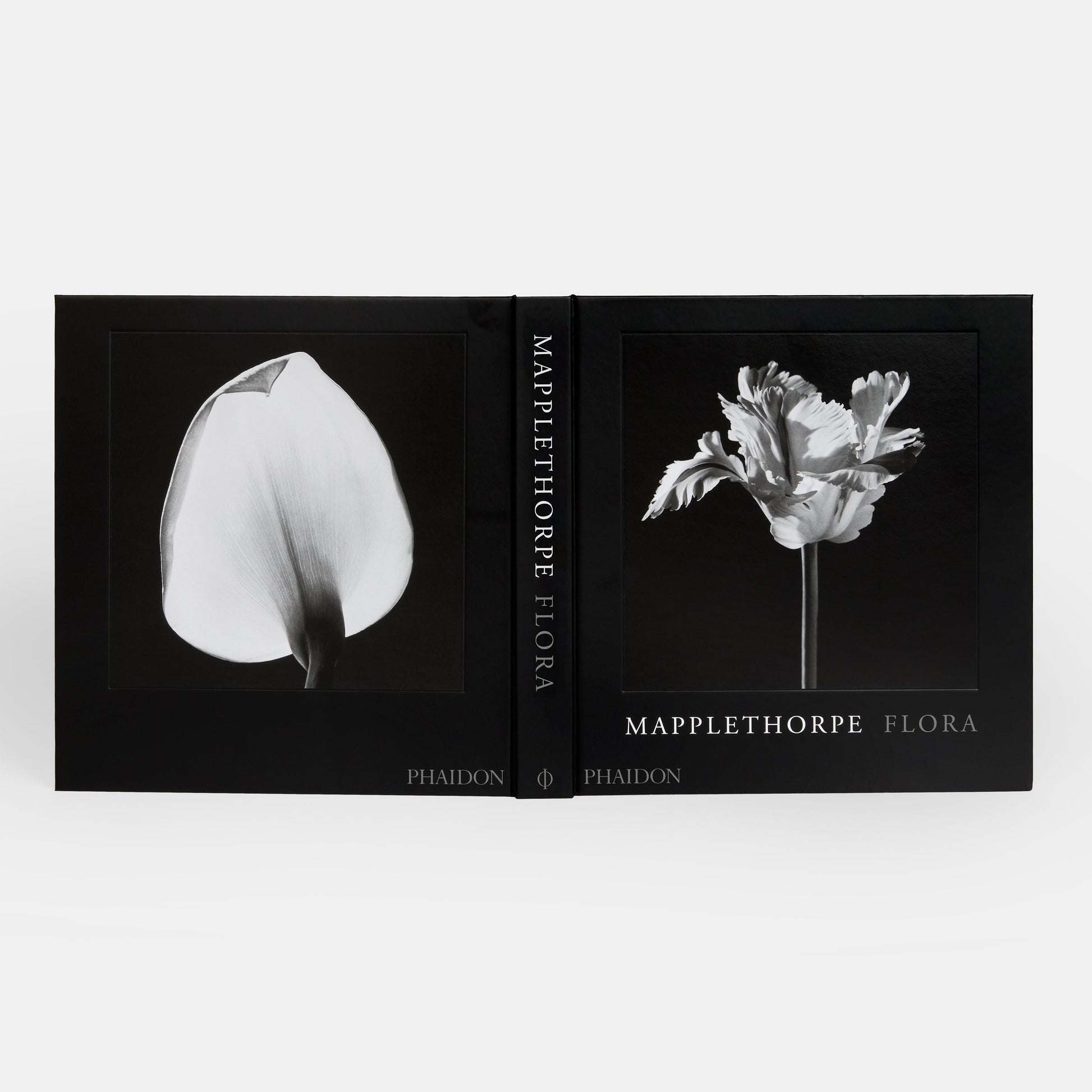 Mapplethorpe Flora: Las flores completas