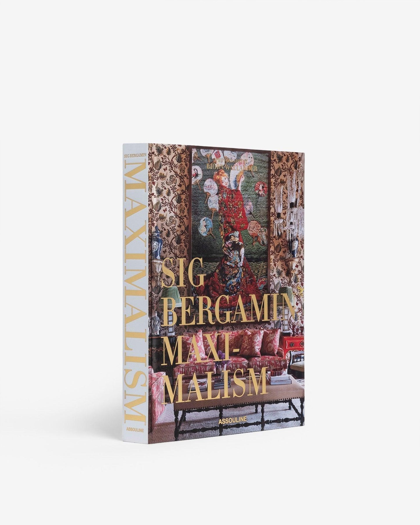 MAXIMALISMO DE SIG BERGAMIN