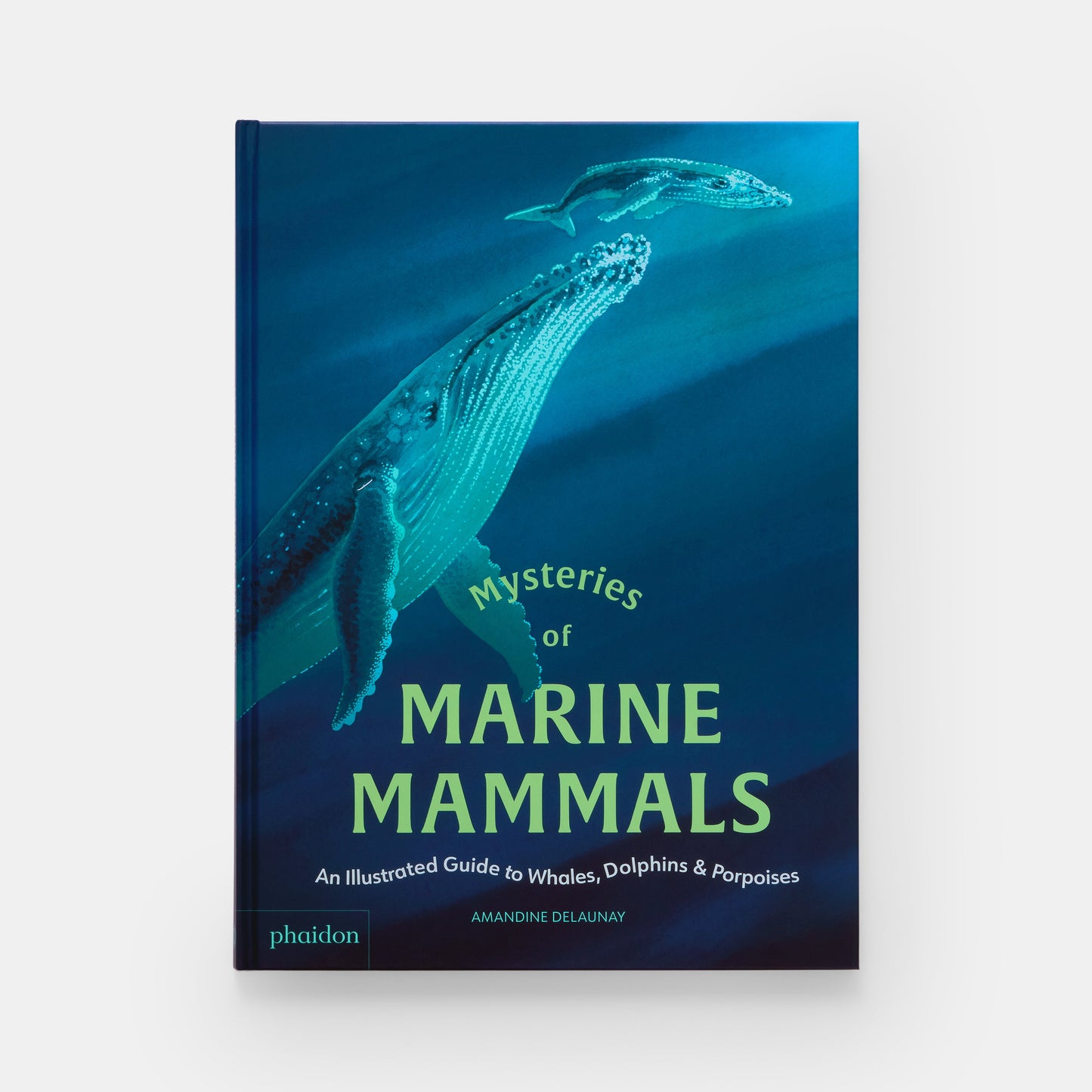Misterios de los mamíferos marinos: guía ilustrada de ballenas, delfines y marsopas