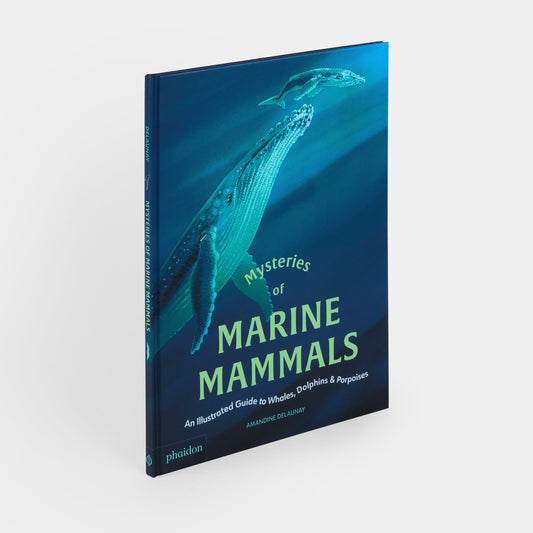 Misterios de los mamíferos marinos: guía ilustrada de ballenas, delfines y marsopas