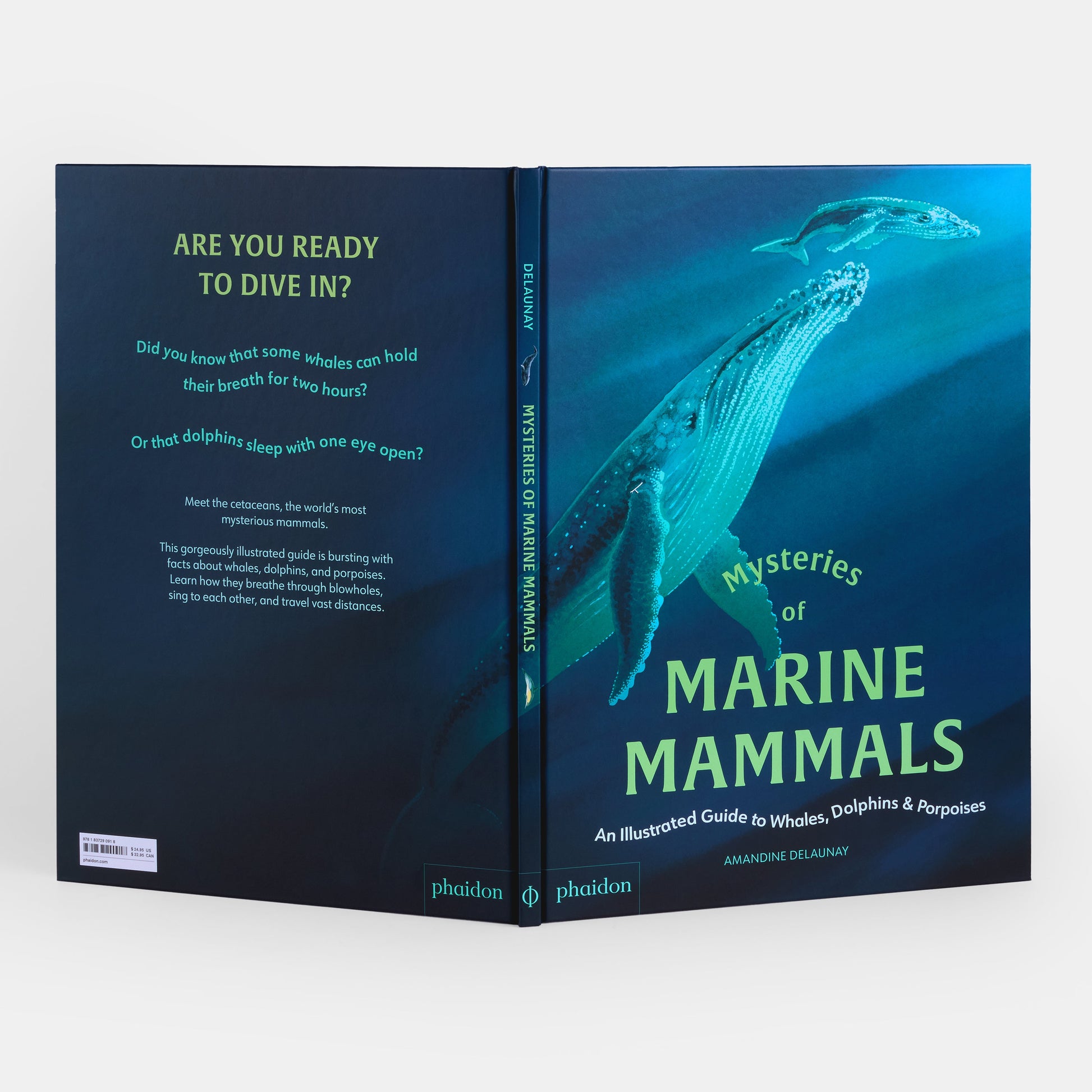 Misterios de los mamíferos marinos: guía ilustrada de ballenas, delfines y marsopas