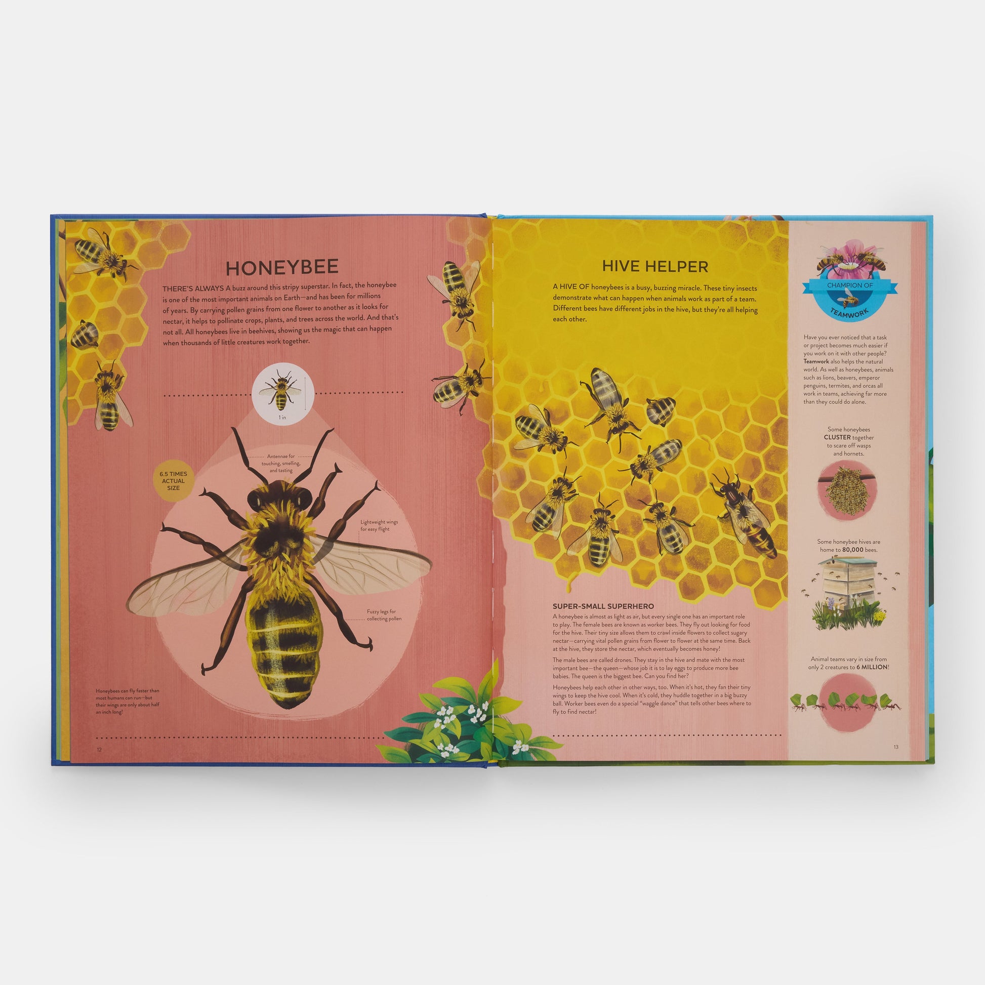 Los pequeños campeones de la naturaleza: El gran libro de las criaturas diminutas que hacen grandes cosas