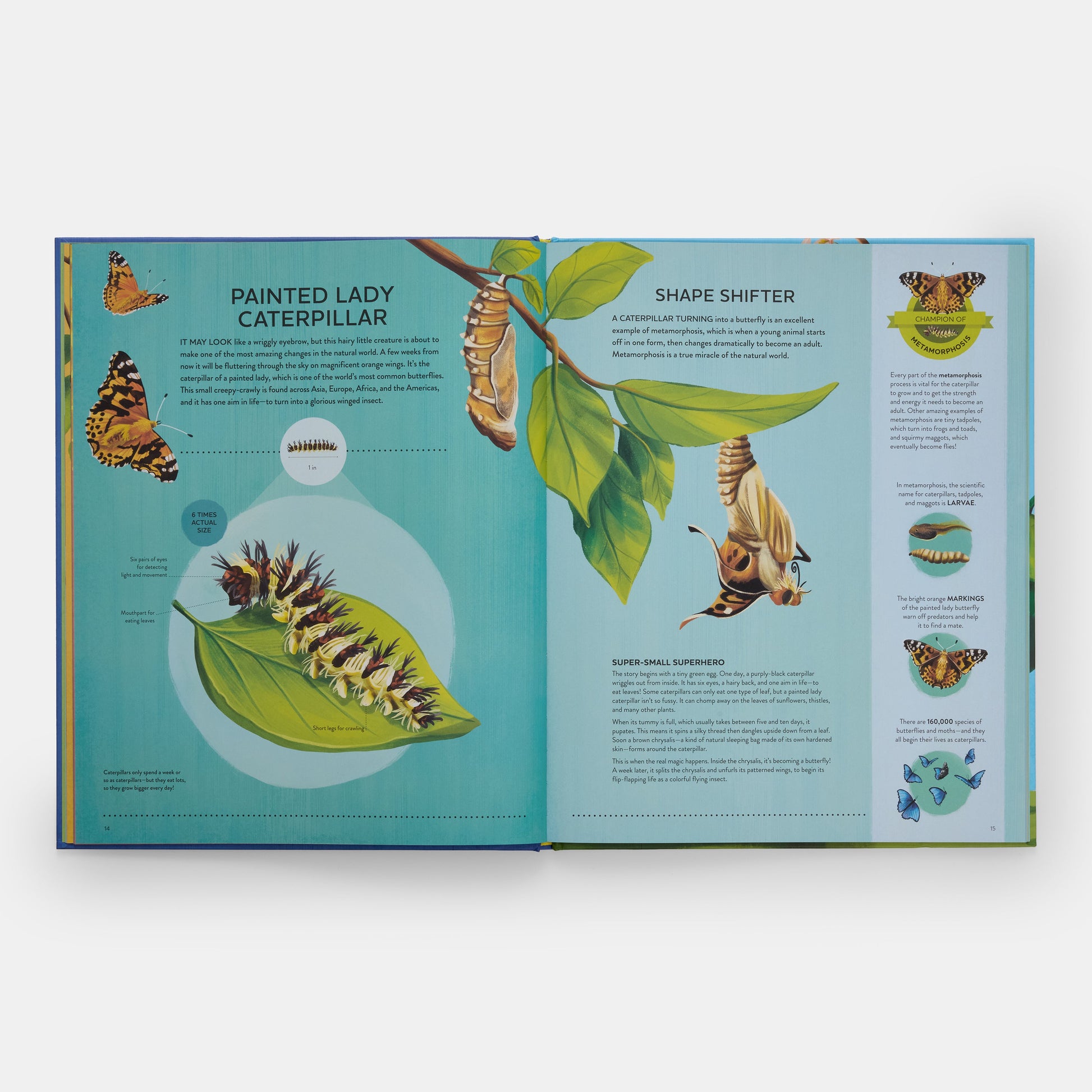 Los pequeños campeones de la naturaleza: El gran libro de las criaturas diminutas que hacen grandes cosas