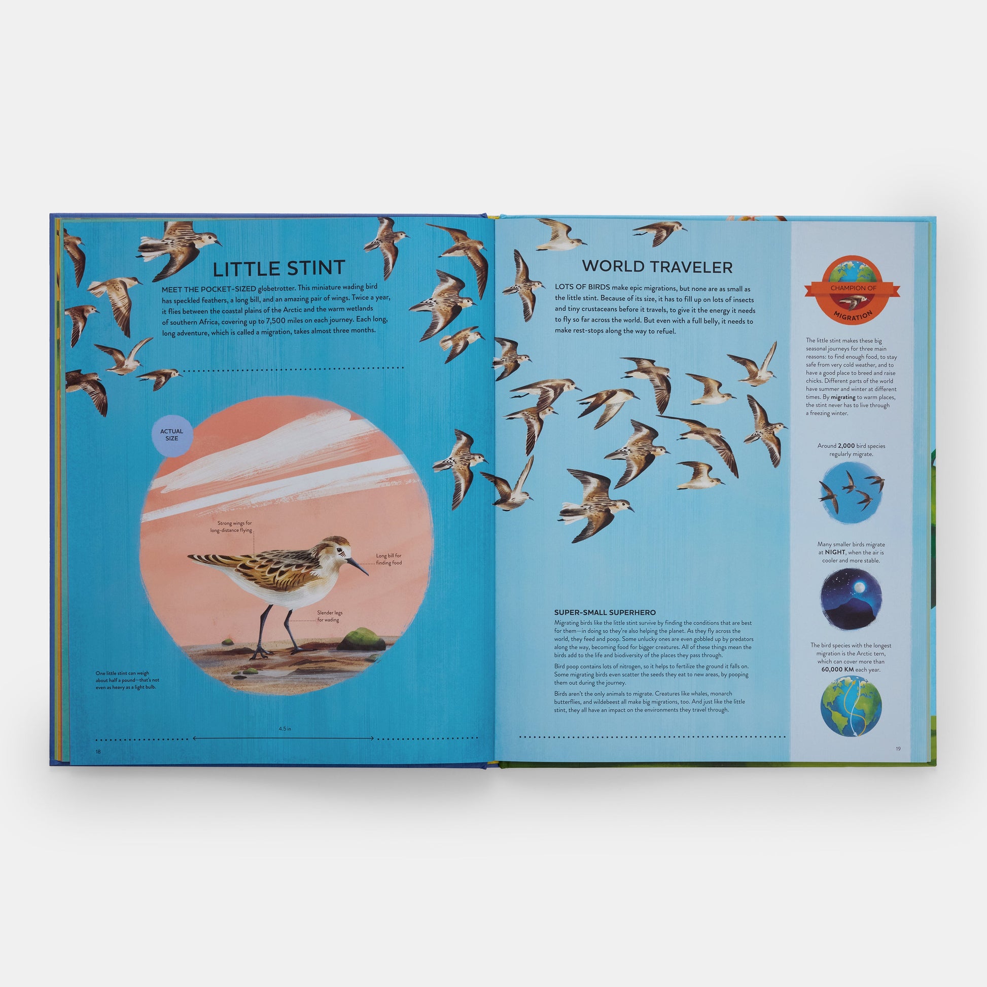 Los pequeños campeones de la naturaleza: El gran libro de las criaturas diminutas que hacen grandes cosas