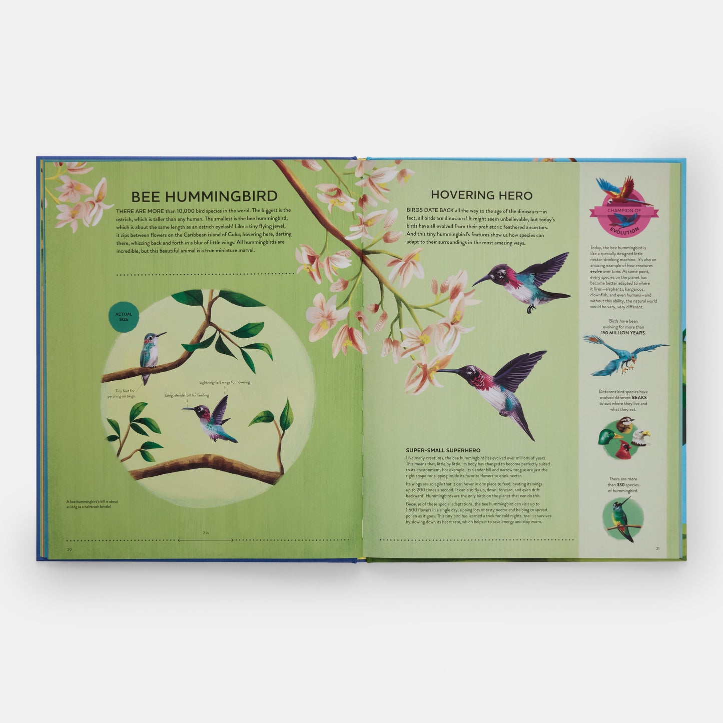 Los pequeños campeones de la naturaleza: El gran libro de las criaturas diminutas que hacen grandes cosas