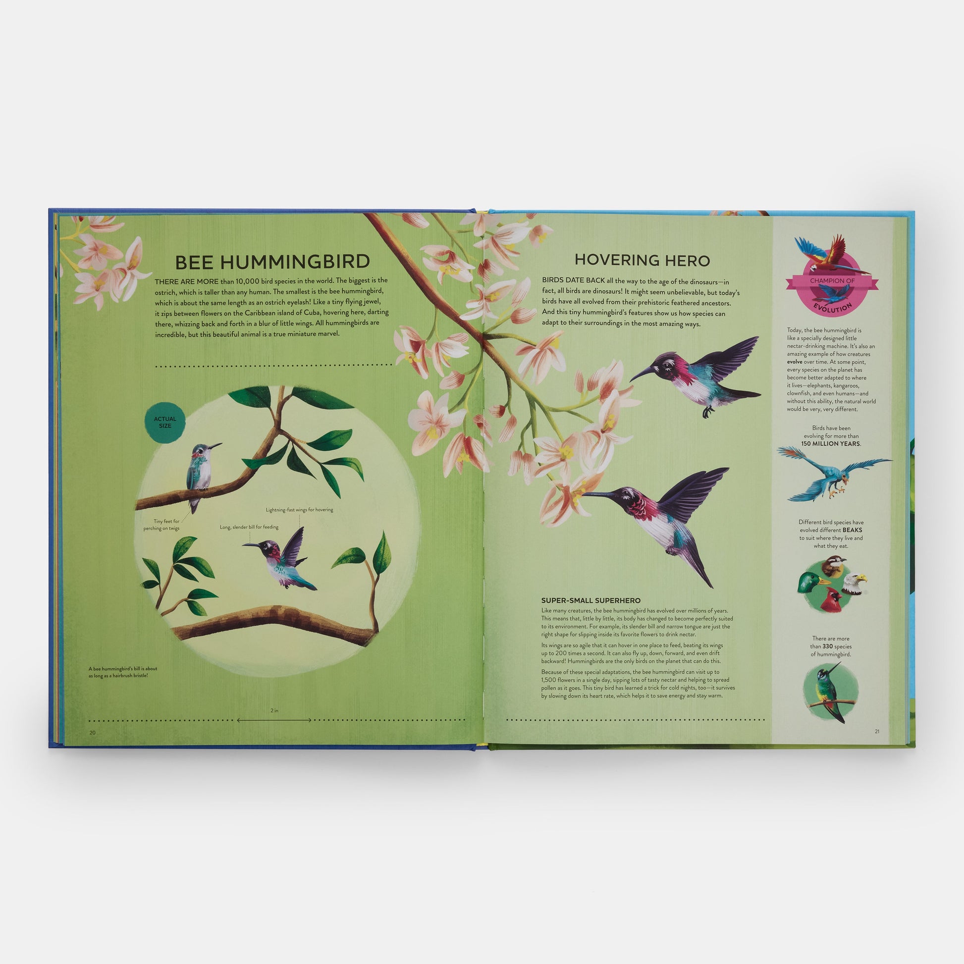 Los pequeños campeones de la naturaleza: El gran libro de las criaturas diminutas que hacen grandes cosas