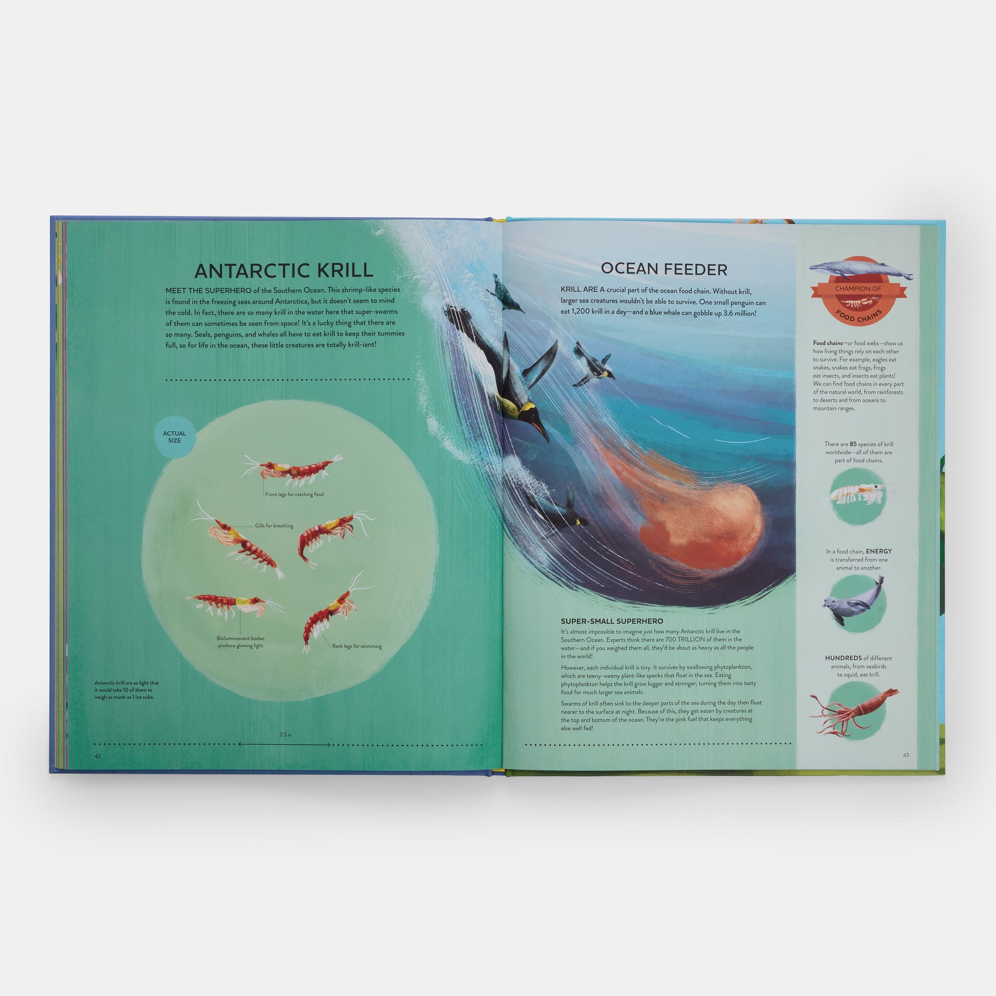 Los pequeños campeones de la naturaleza: El gran libro de las criaturas diminutas que hacen grandes cosas