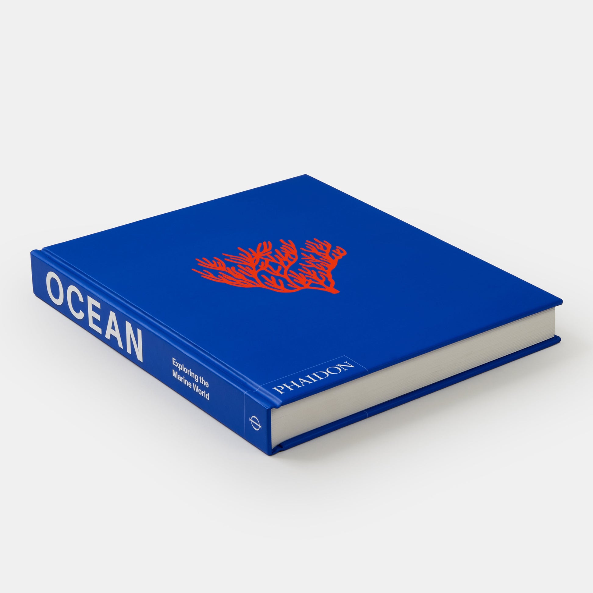 Océano: Explorando el mundo marino