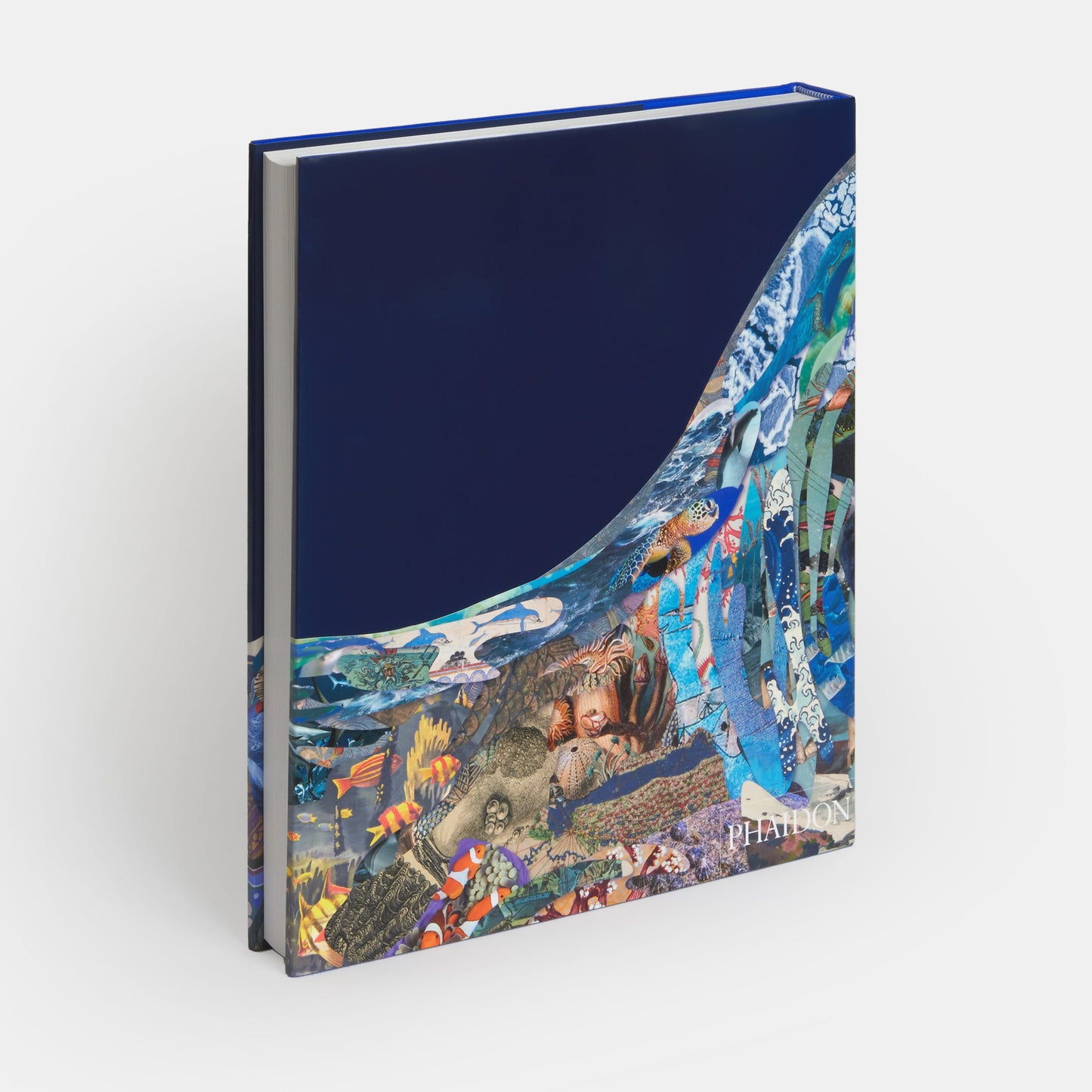 Océano: Explorando el mundo marino