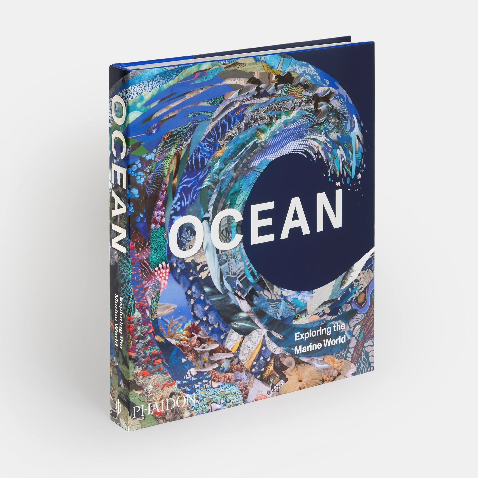 Océano: Explorando el mundo marino