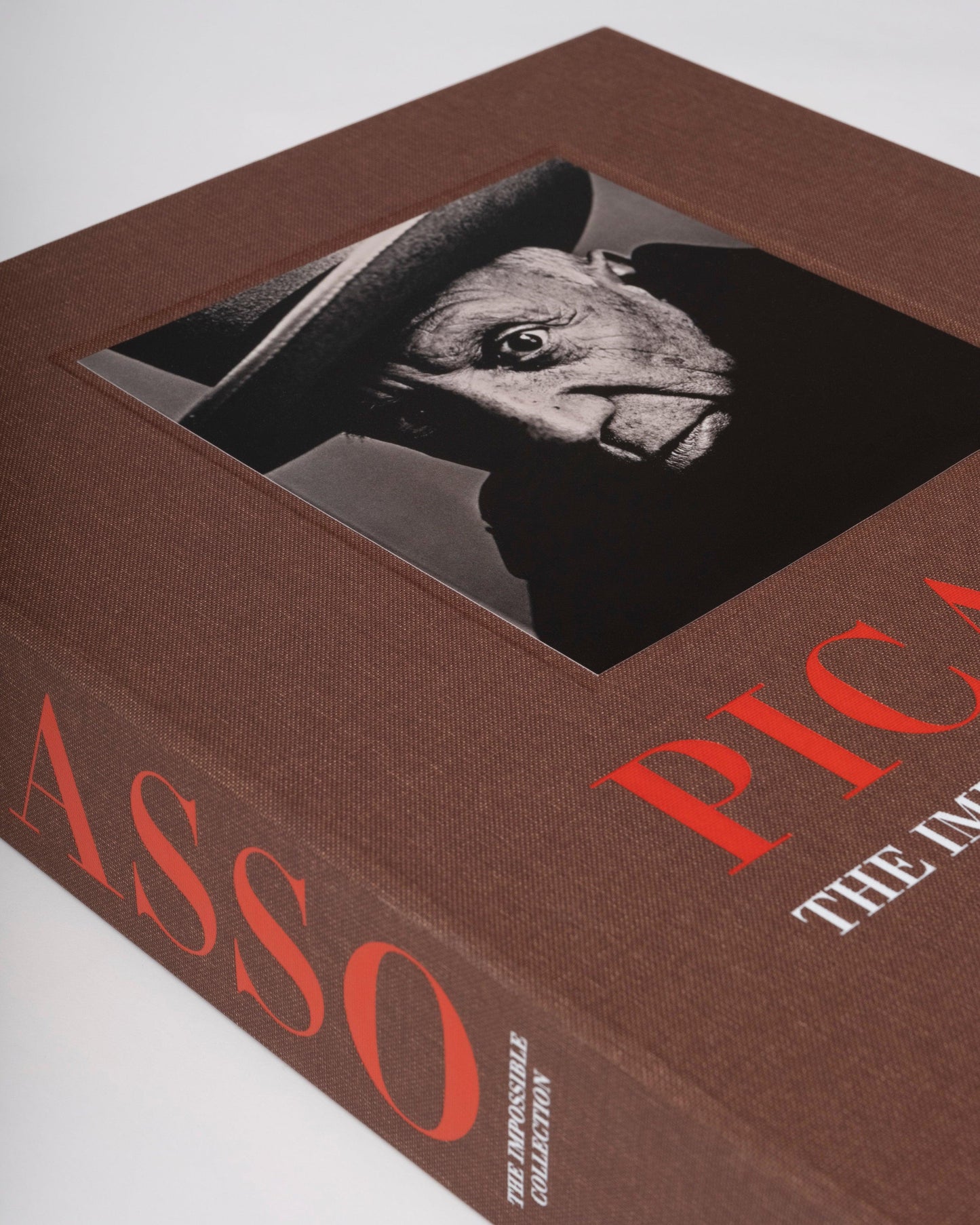 PABLO PICASSO: LA COLECCIÓN IMPOSIBLE