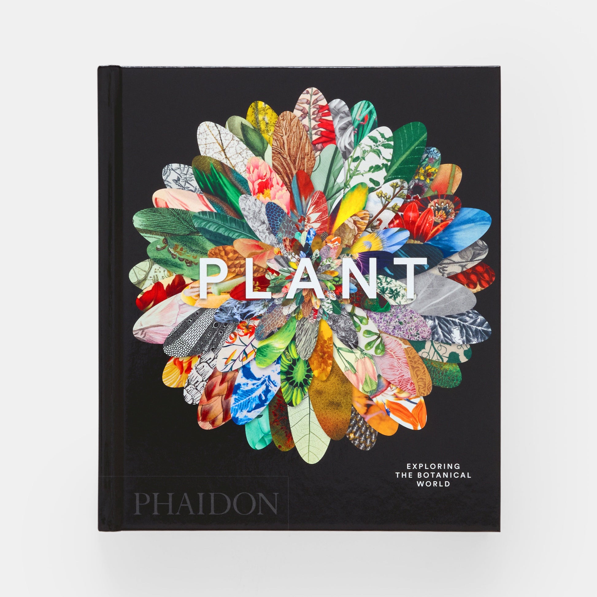Planta: Explorando el mundo botánico