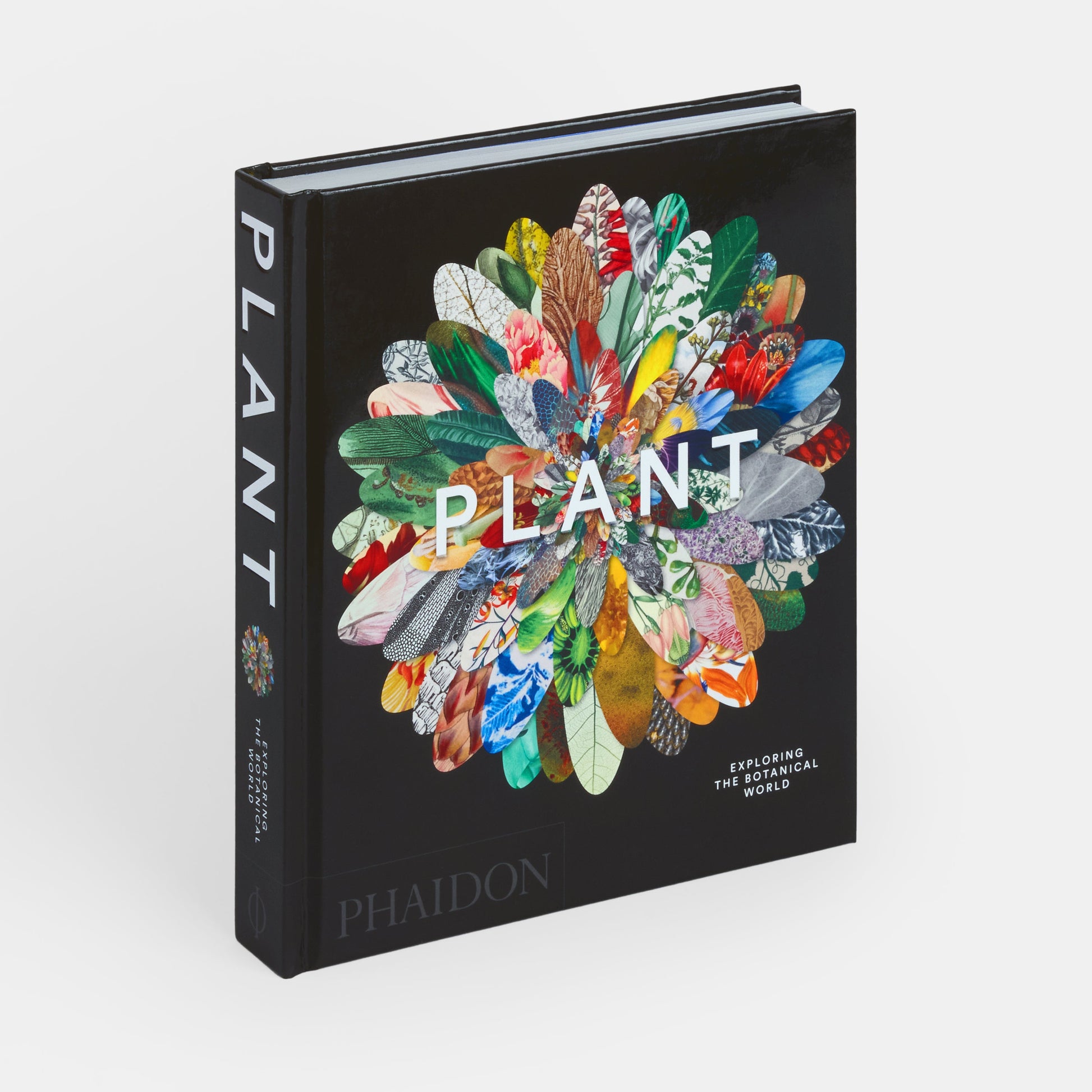 Planta: Explorando el mundo botánico