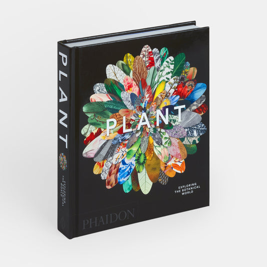 Planta: Explorando el mundo botánico