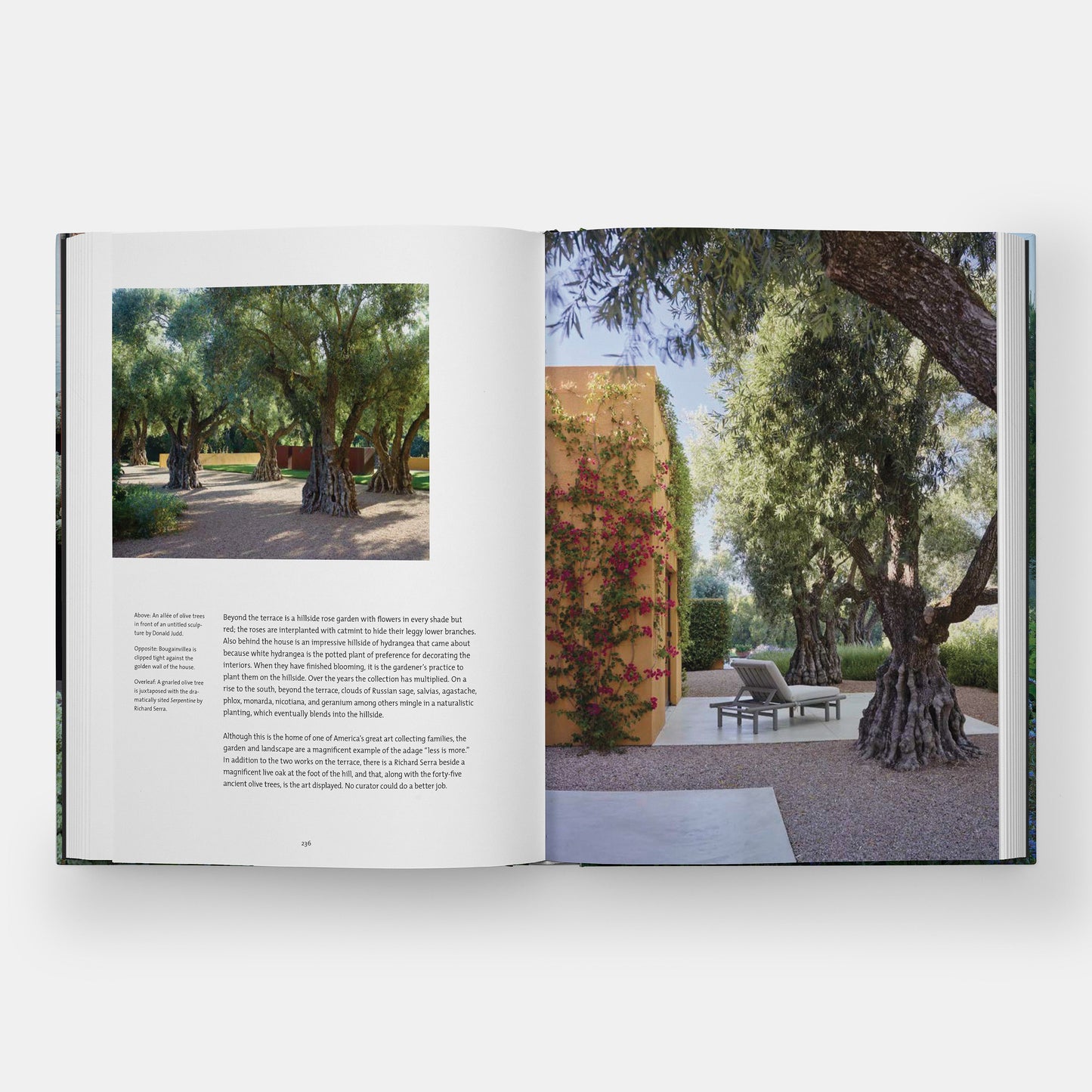Jardines privados del Área de la Bahía