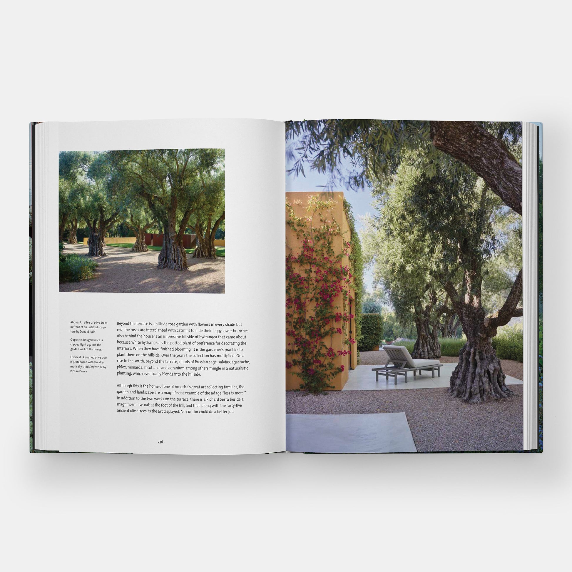 Jardines privados del Área de la Bahía