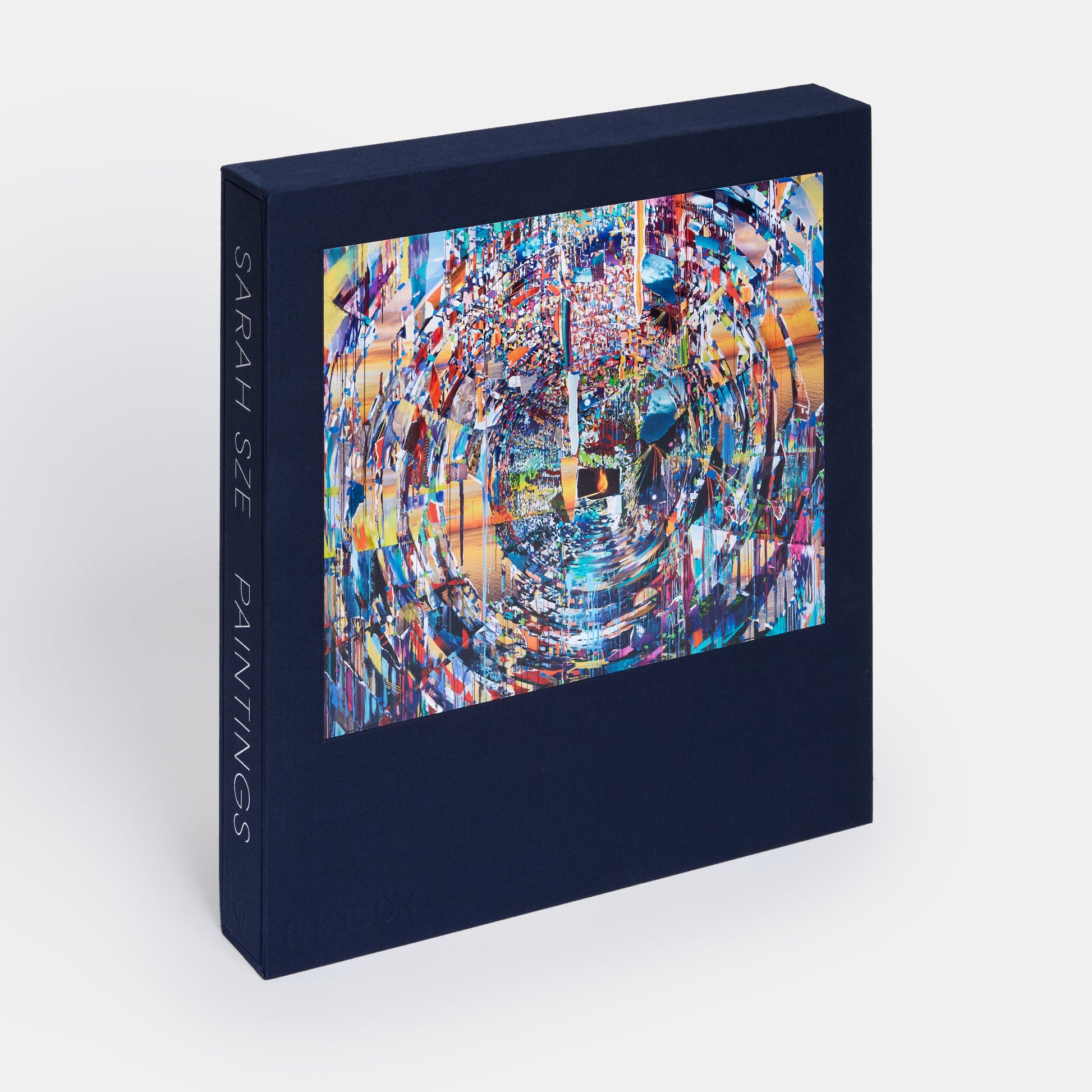 Sarah Sze: Pinturas