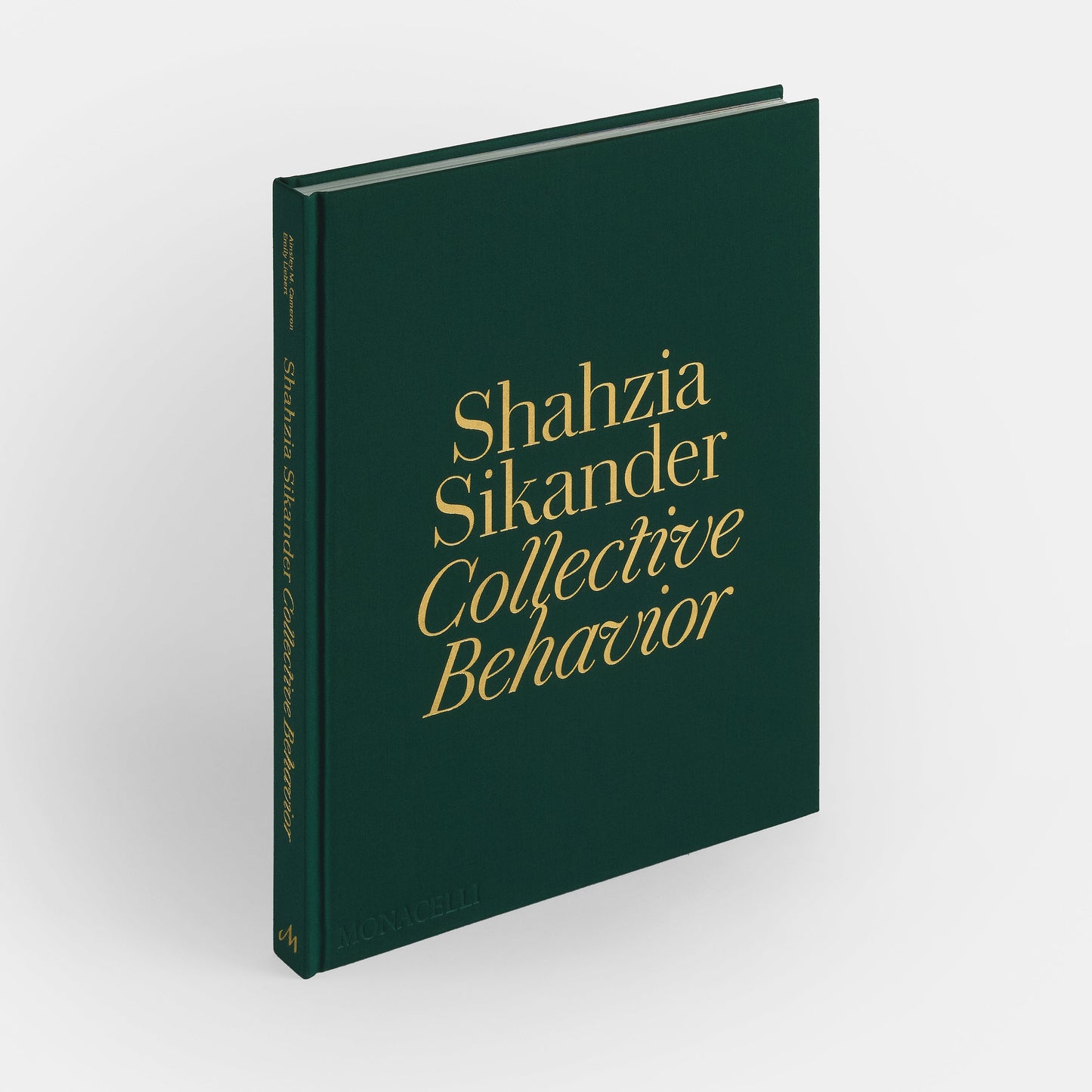 Shahzia Sikander: Comportamiento colectivo