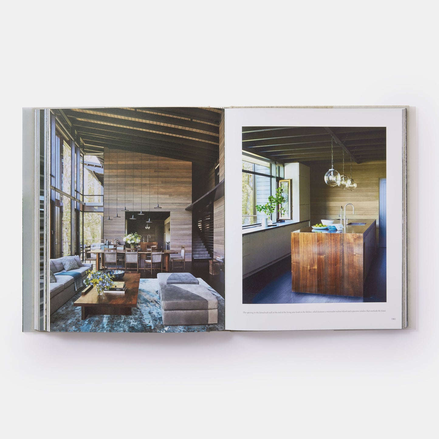 Teja y Piedra: Las casas de Thomas Kligerman