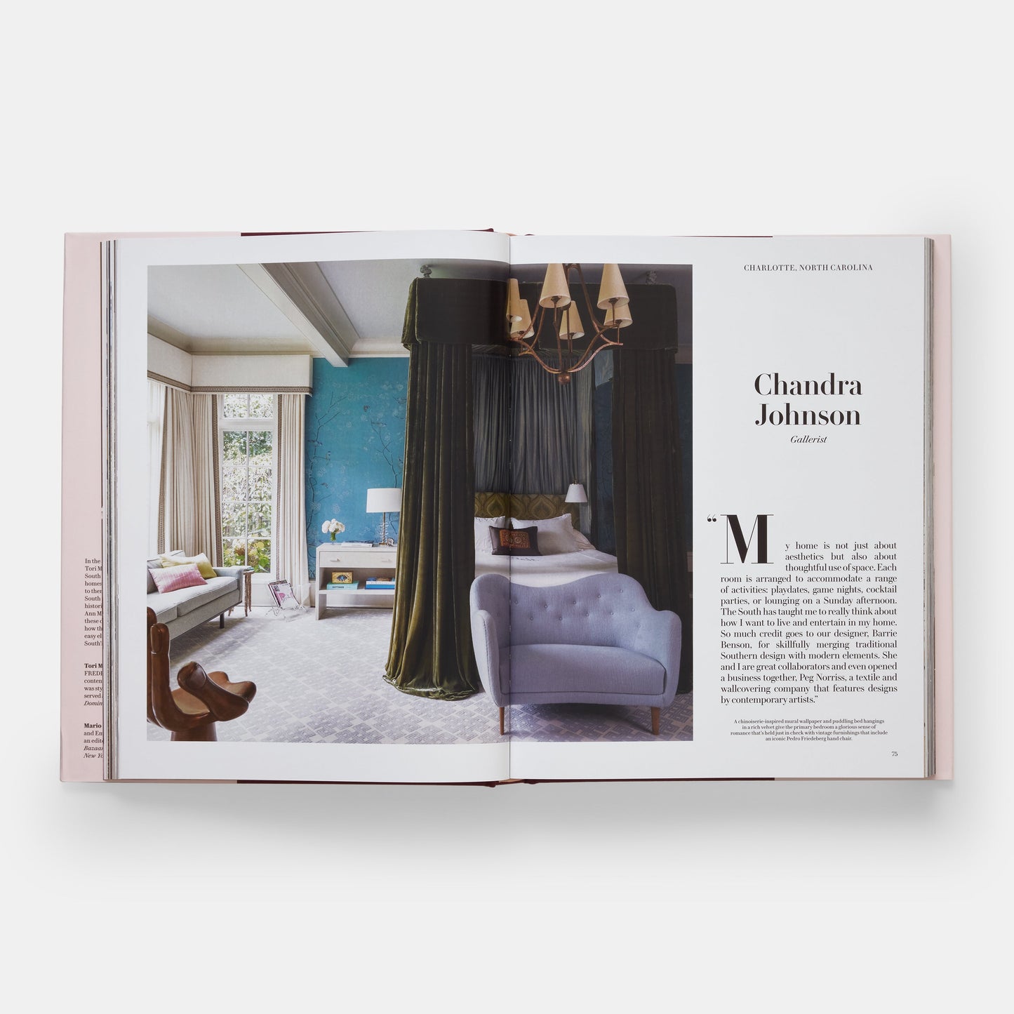 Interiores sureños: una celebración del estilo personal [Un libro de diseño de interiores de Schumacher]