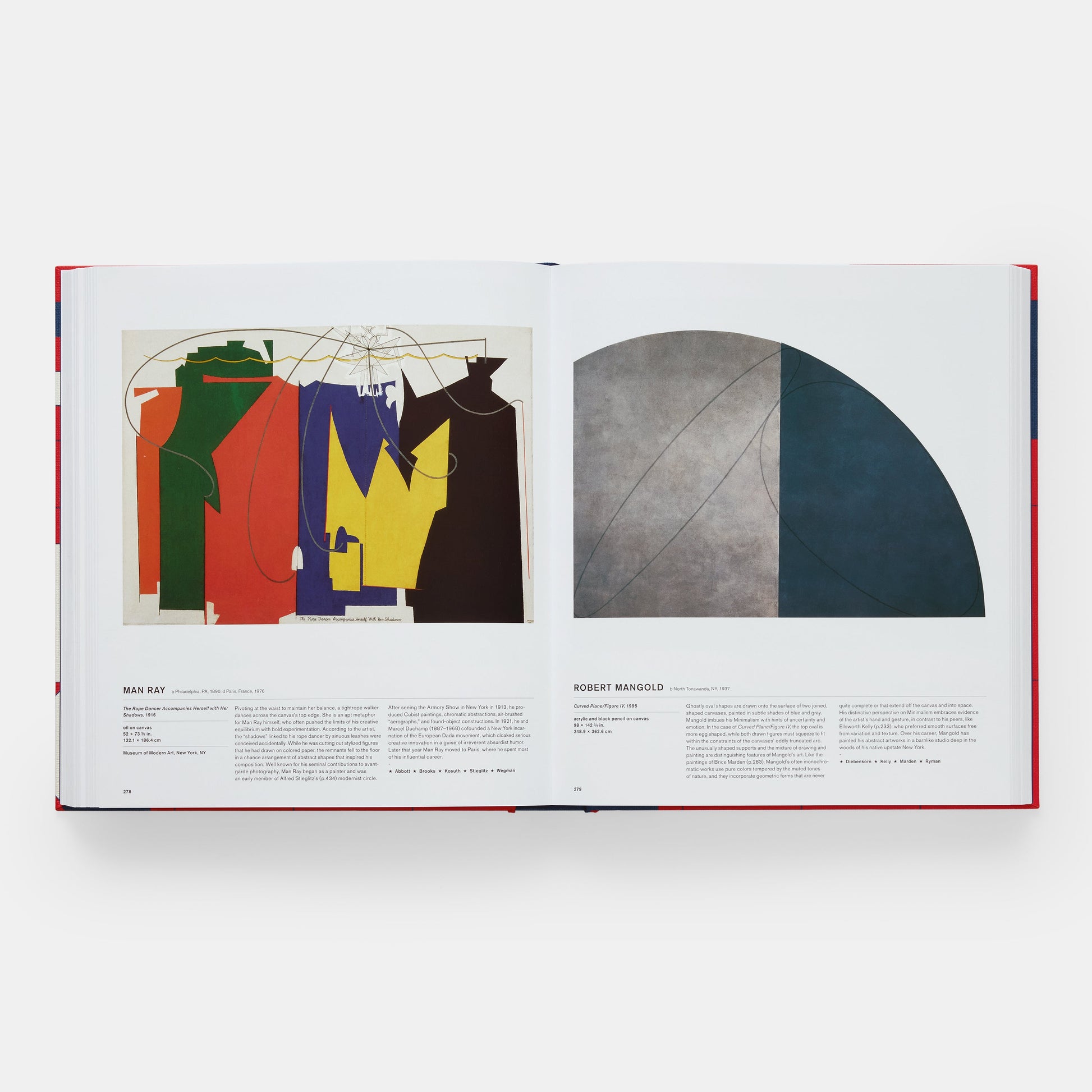 El libro de arte americano