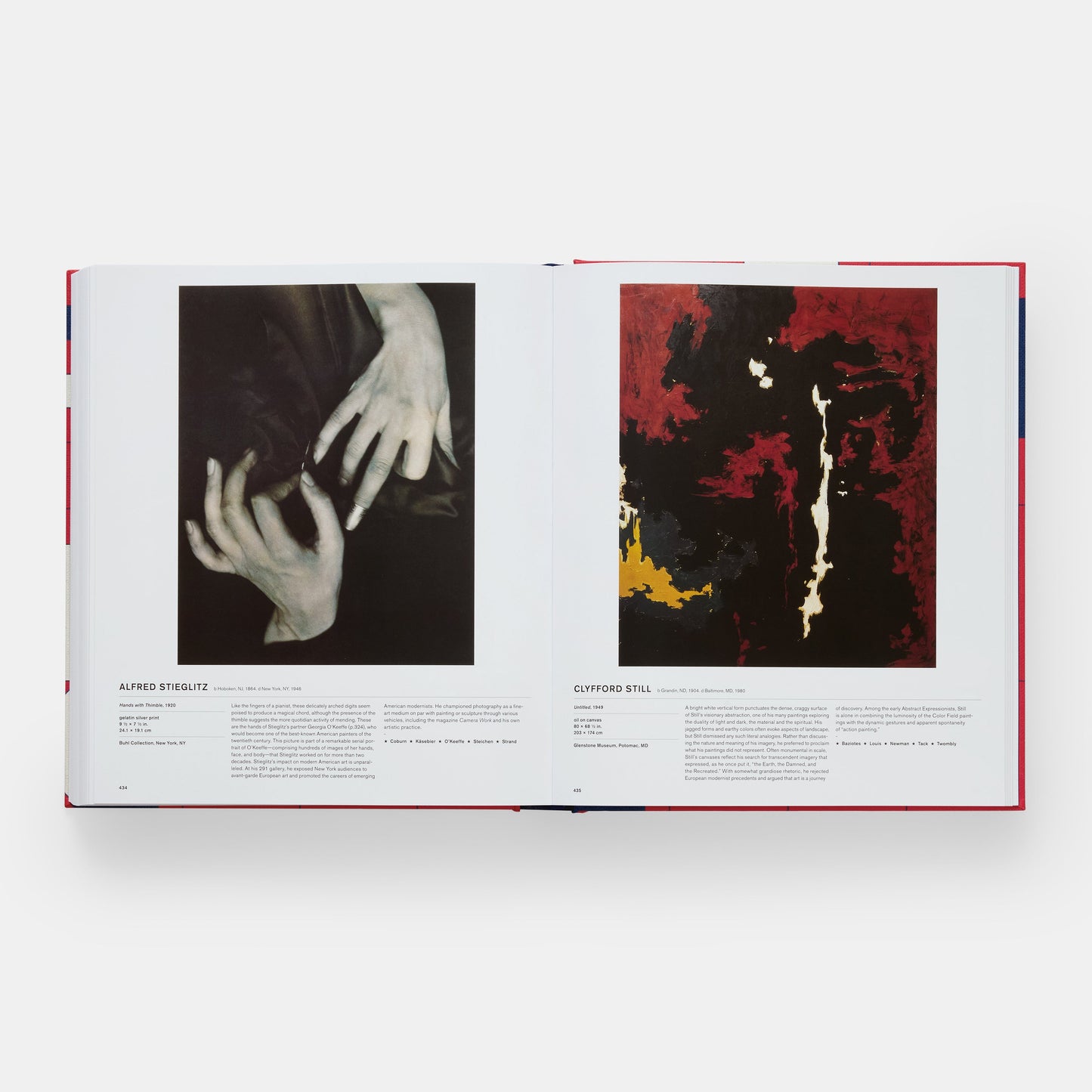 El libro de arte americano
