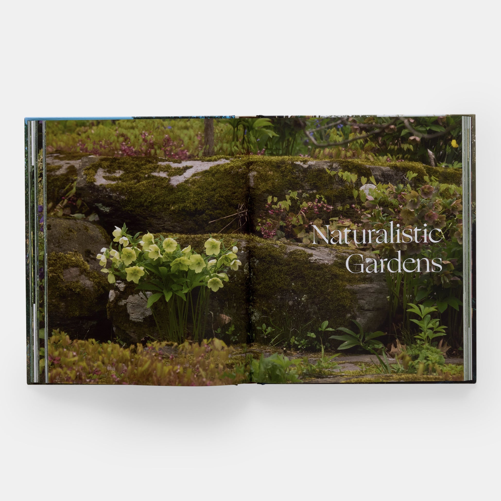 El arte de la jardinería de lujo: Craig Bergmann Landscape Design