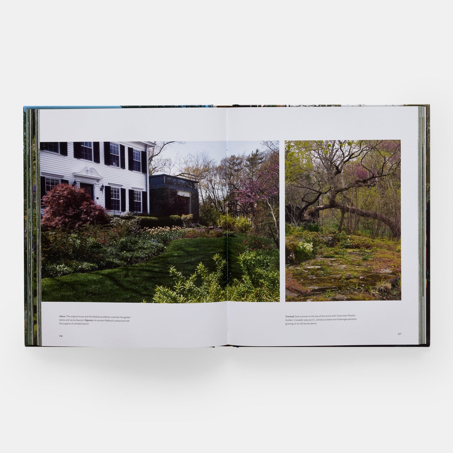 El arte de la jardinería de lujo: Craig Bergmann Landscape Design