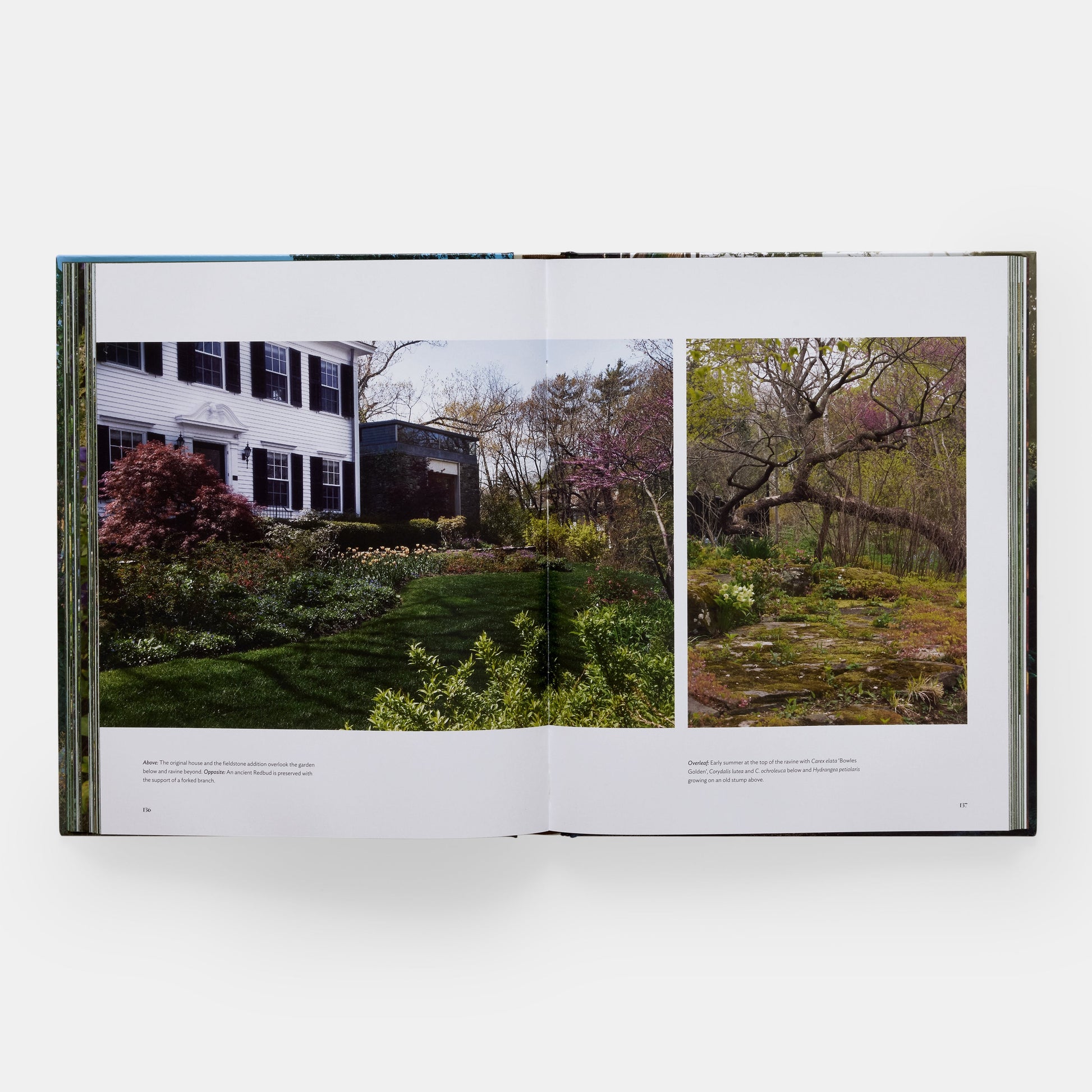 El arte de la jardinería de lujo: Craig Bergmann Landscape Design