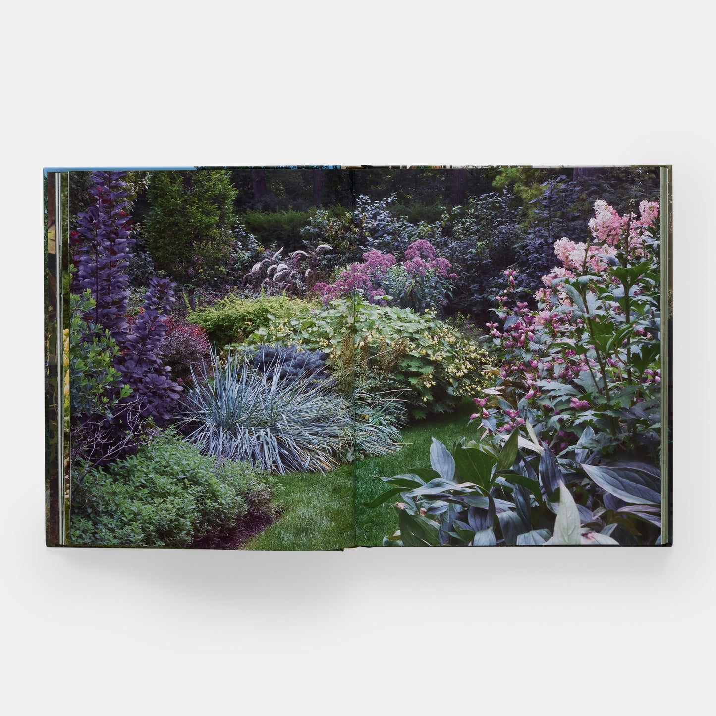 El arte de la jardinería de lujo: Craig Bergmann Landscape Design