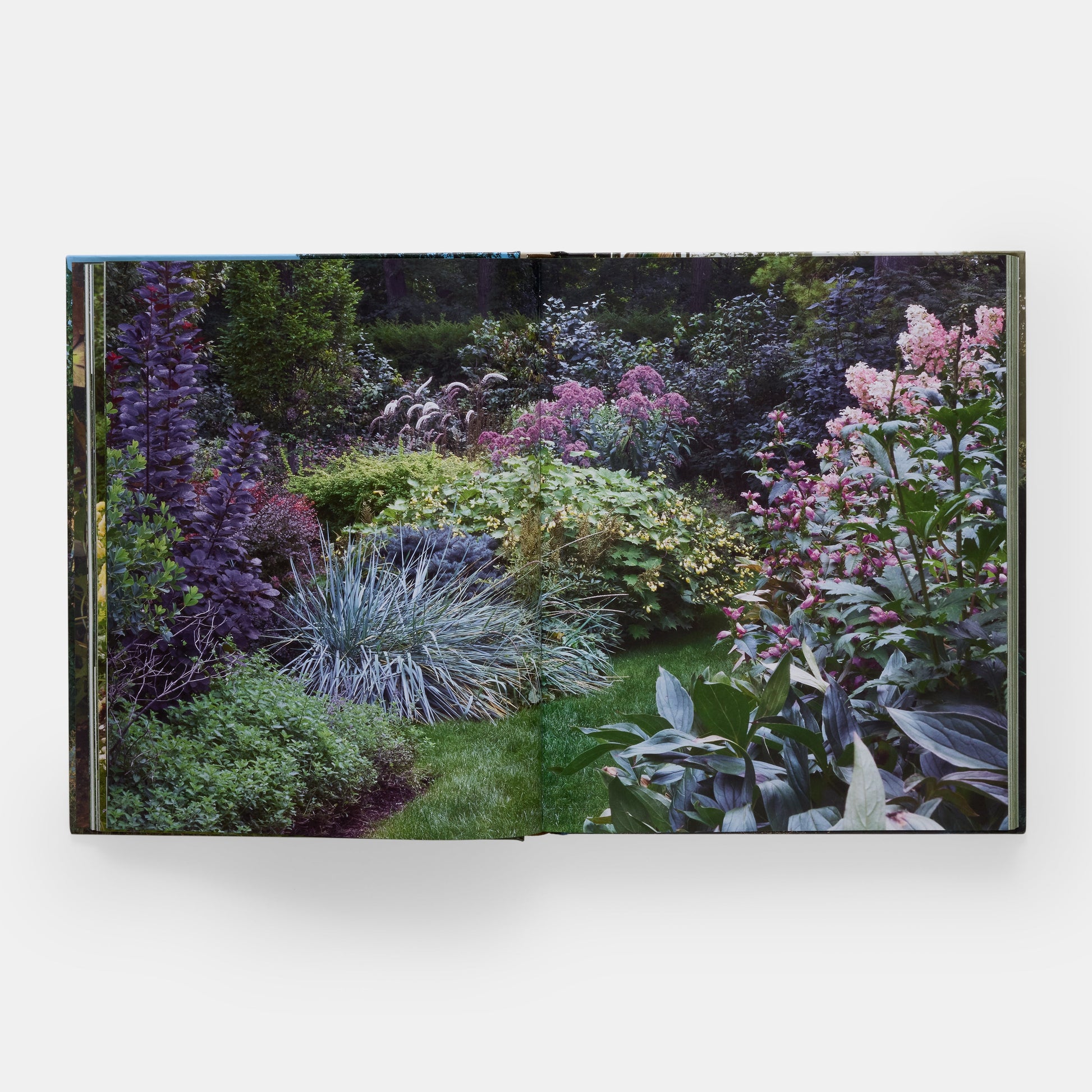 El arte de la jardinería de lujo: Craig Bergmann Landscape Design