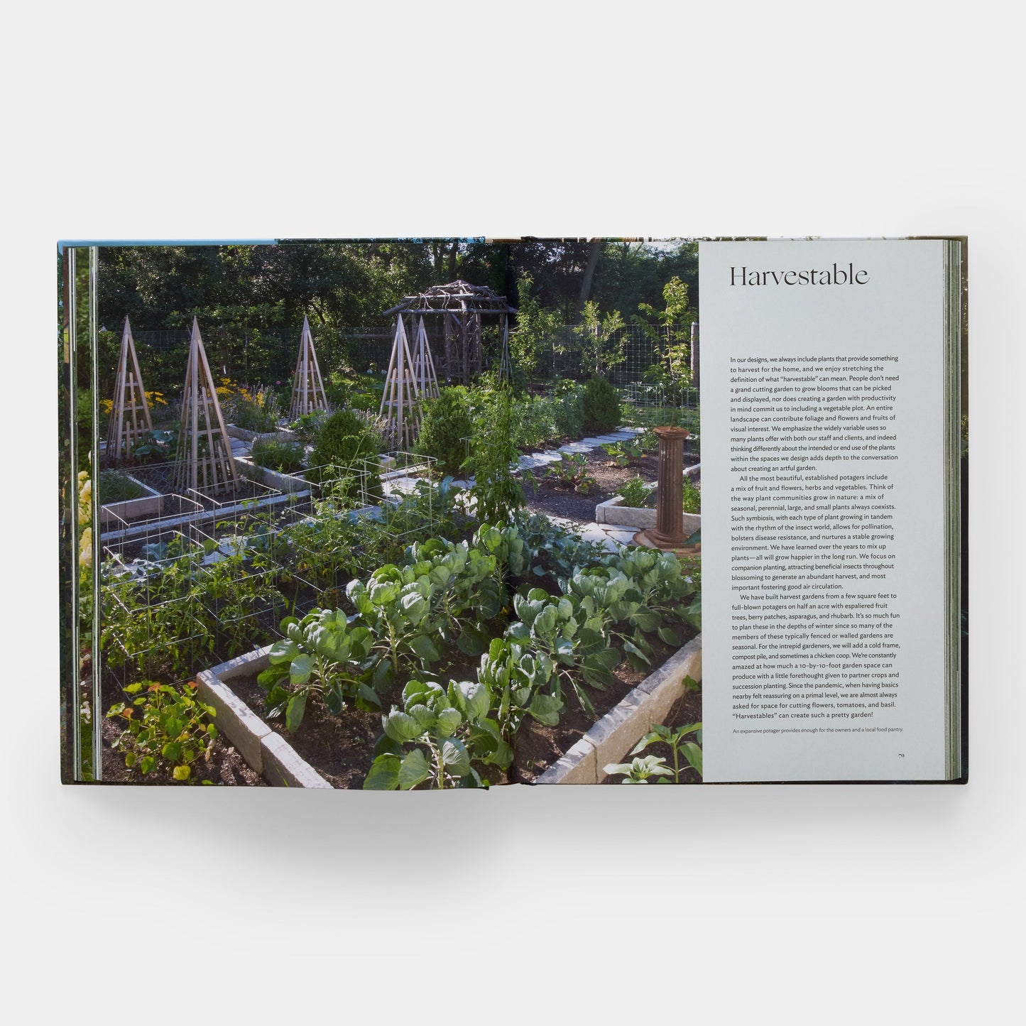El arte de la jardinería de lujo: Craig Bergmann Landscape Design