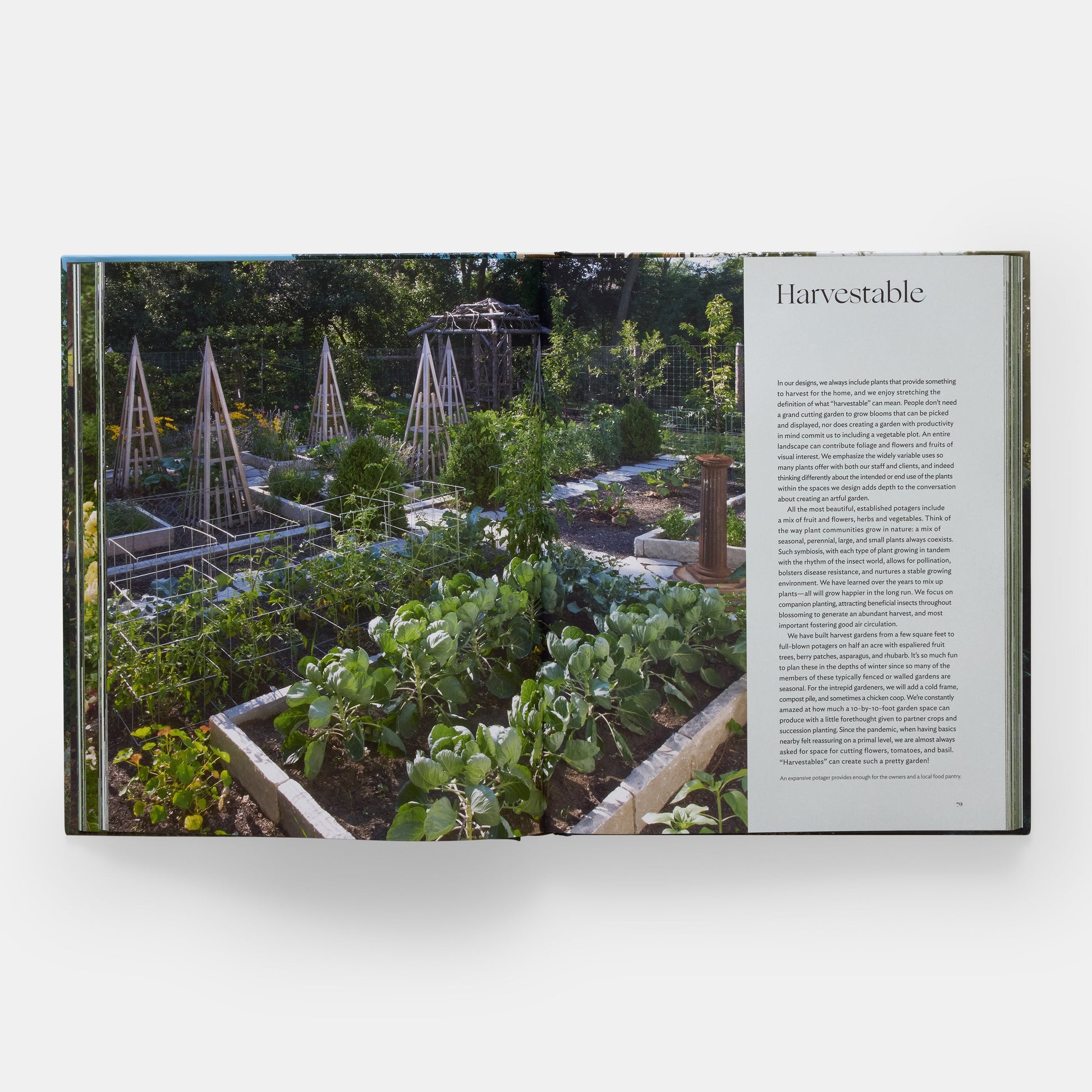 El arte de la jardinería de lujo: Craig Bergmann Landscape Design