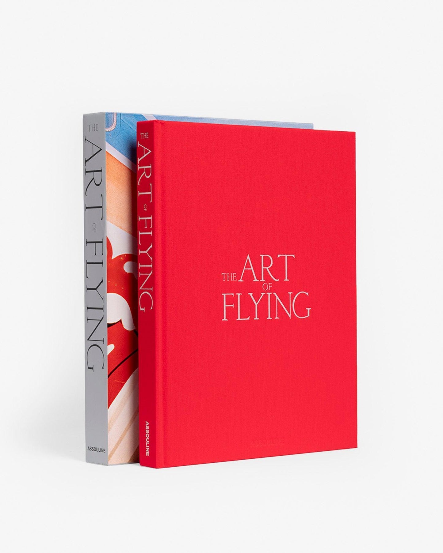 EL ARTE DE VOLAR