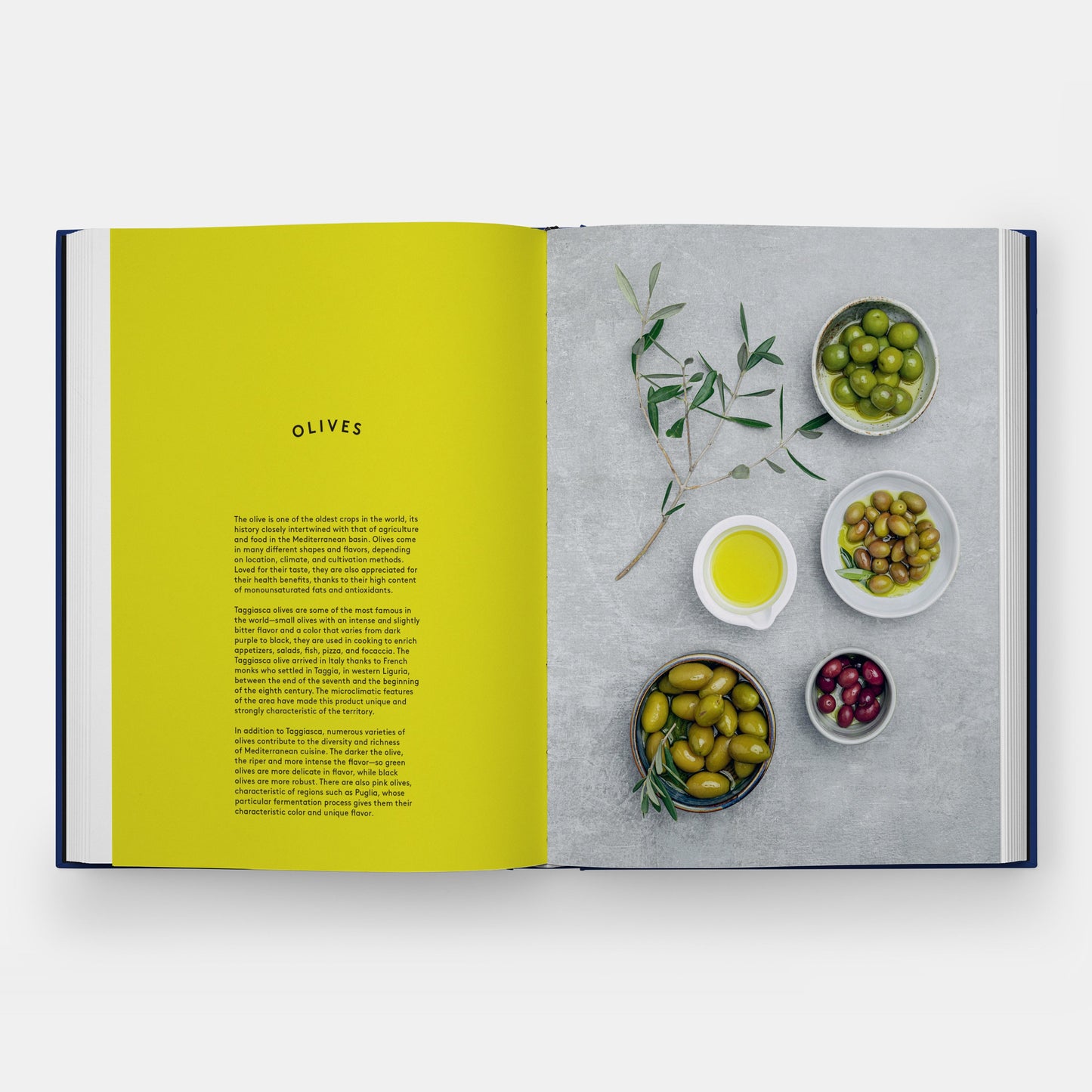 El libro de la pasta