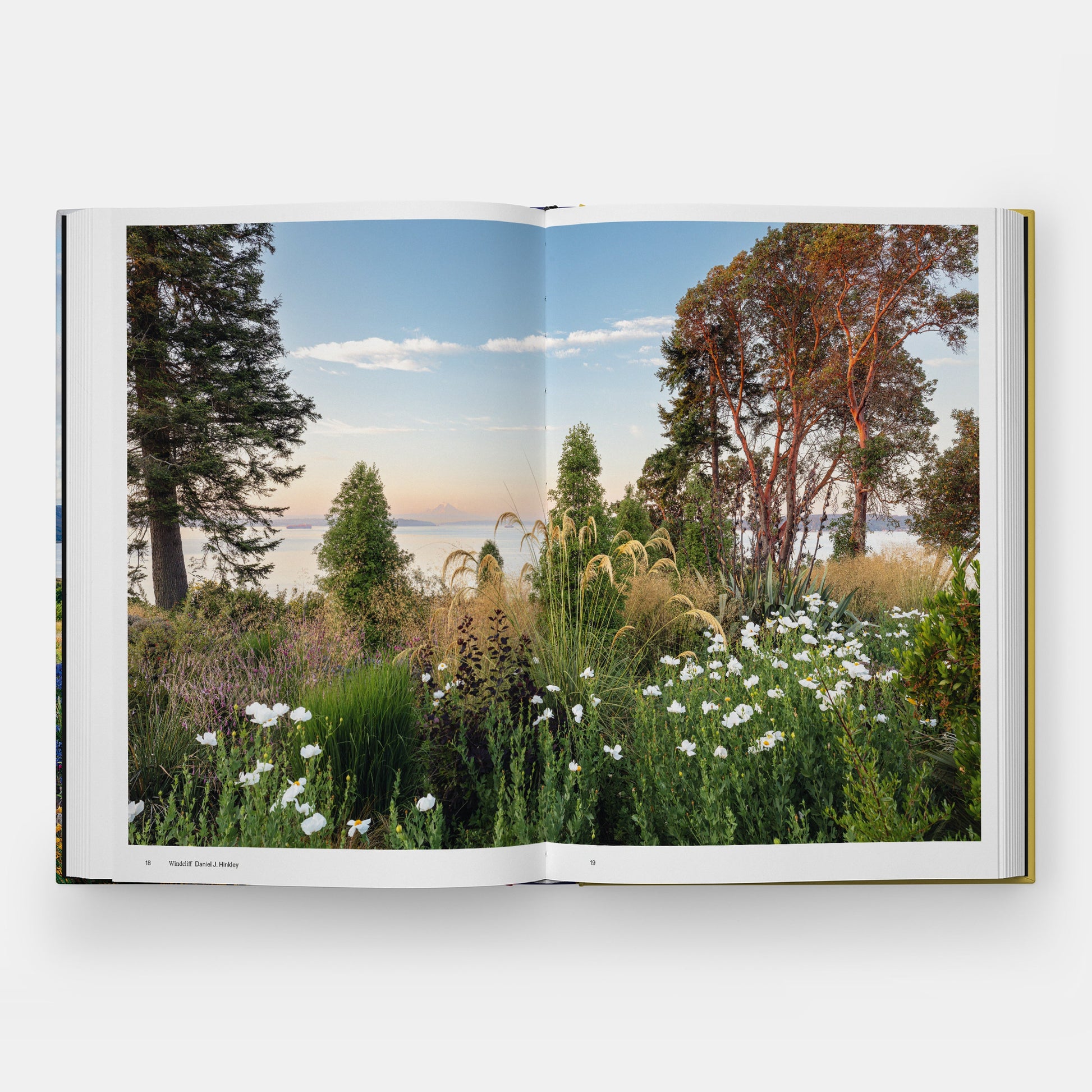 The Coastal Garden