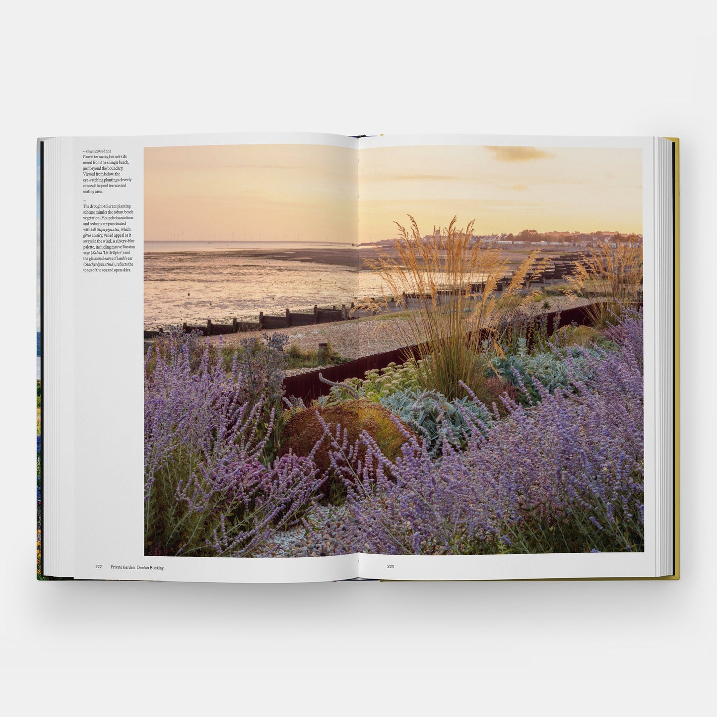 The Coastal Garden