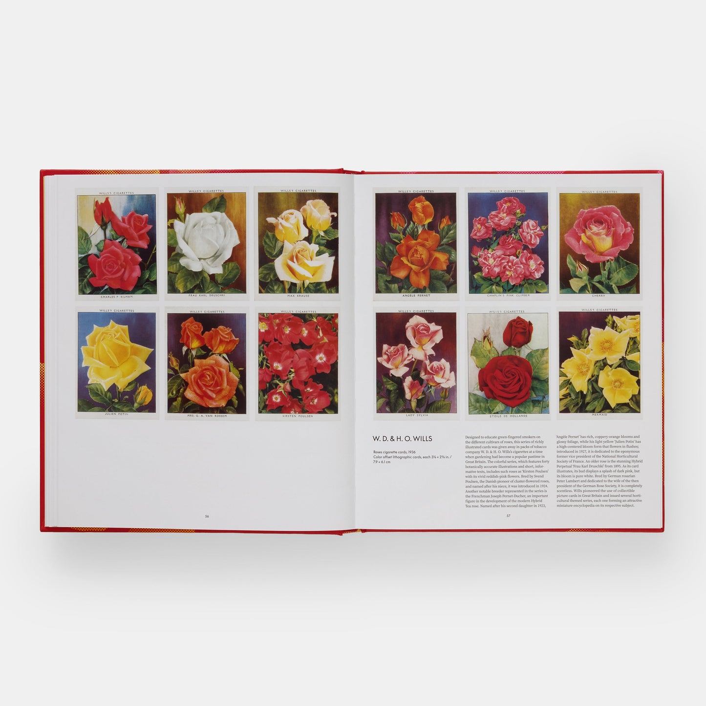El libro de la rosa