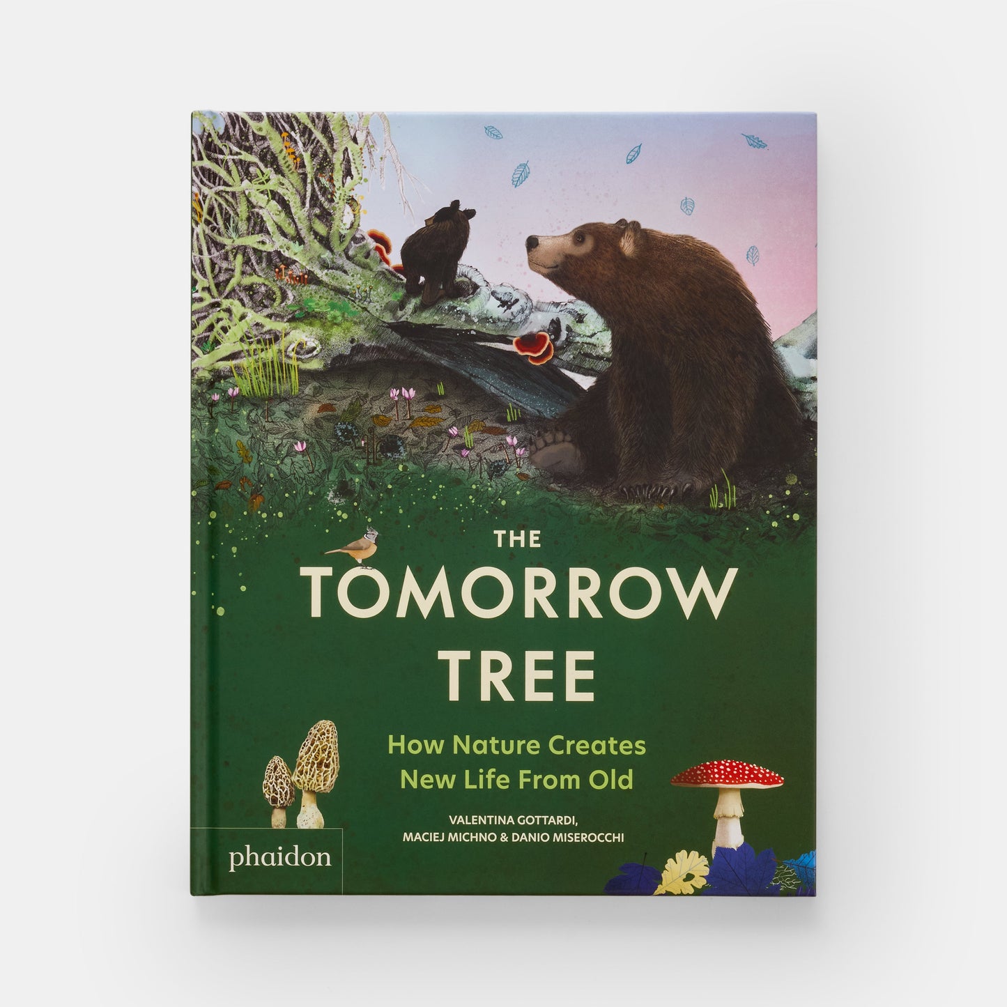 El árbol del mañana: cómo la naturaleza crea nueva vida a partir de lo viejo