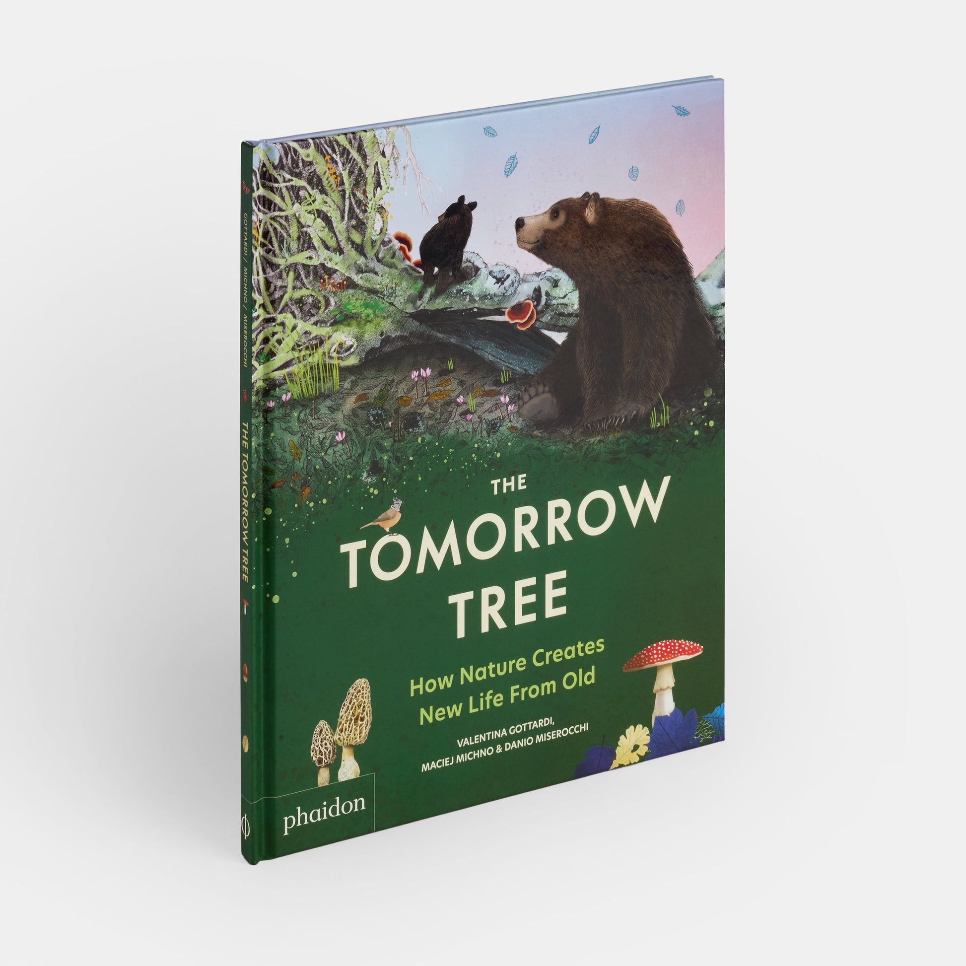 El árbol del mañana: cómo la naturaleza crea nueva vida a partir de lo viejo