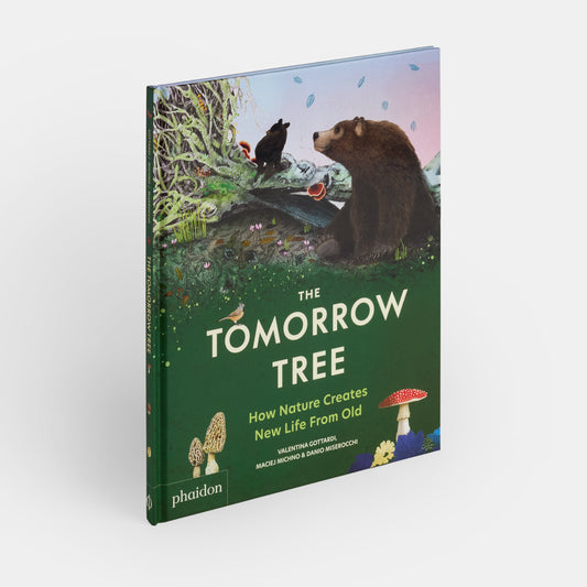 El árbol del mañana: cómo la naturaleza crea nueva vida a partir de lo viejo