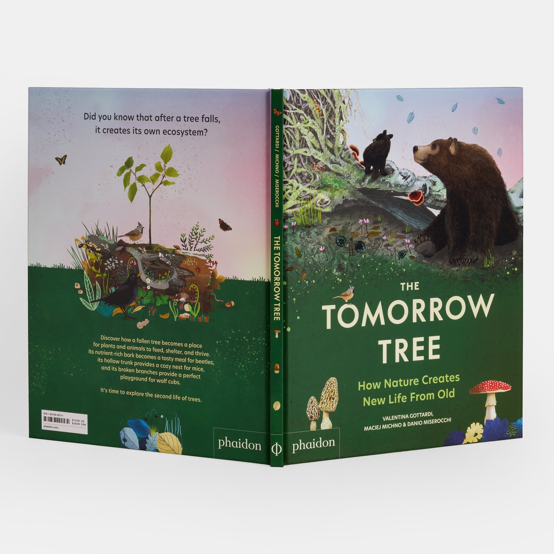 El árbol del mañana: cómo la naturaleza crea nueva vida a partir de lo viejo