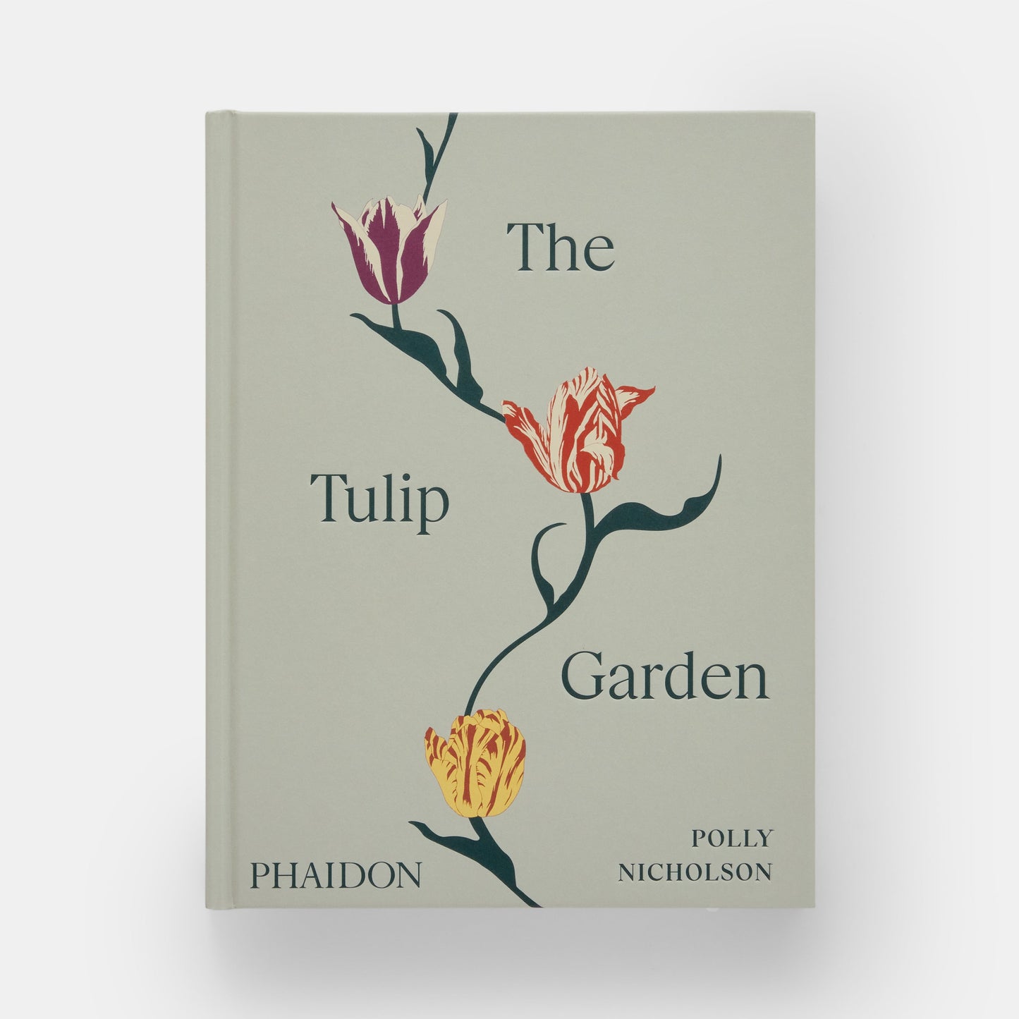 El jardín de tulipanes: cultivo y recolección de especies, variedades raras y anuales