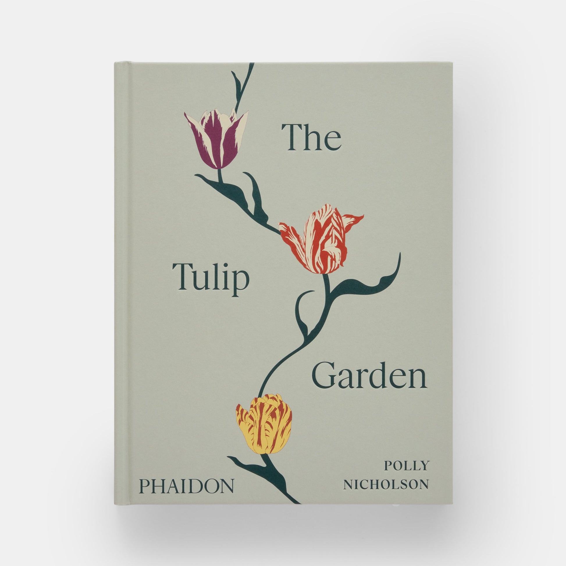 El jardín de tulipanes: cultivo y recolección de especies, variedades raras y anuales