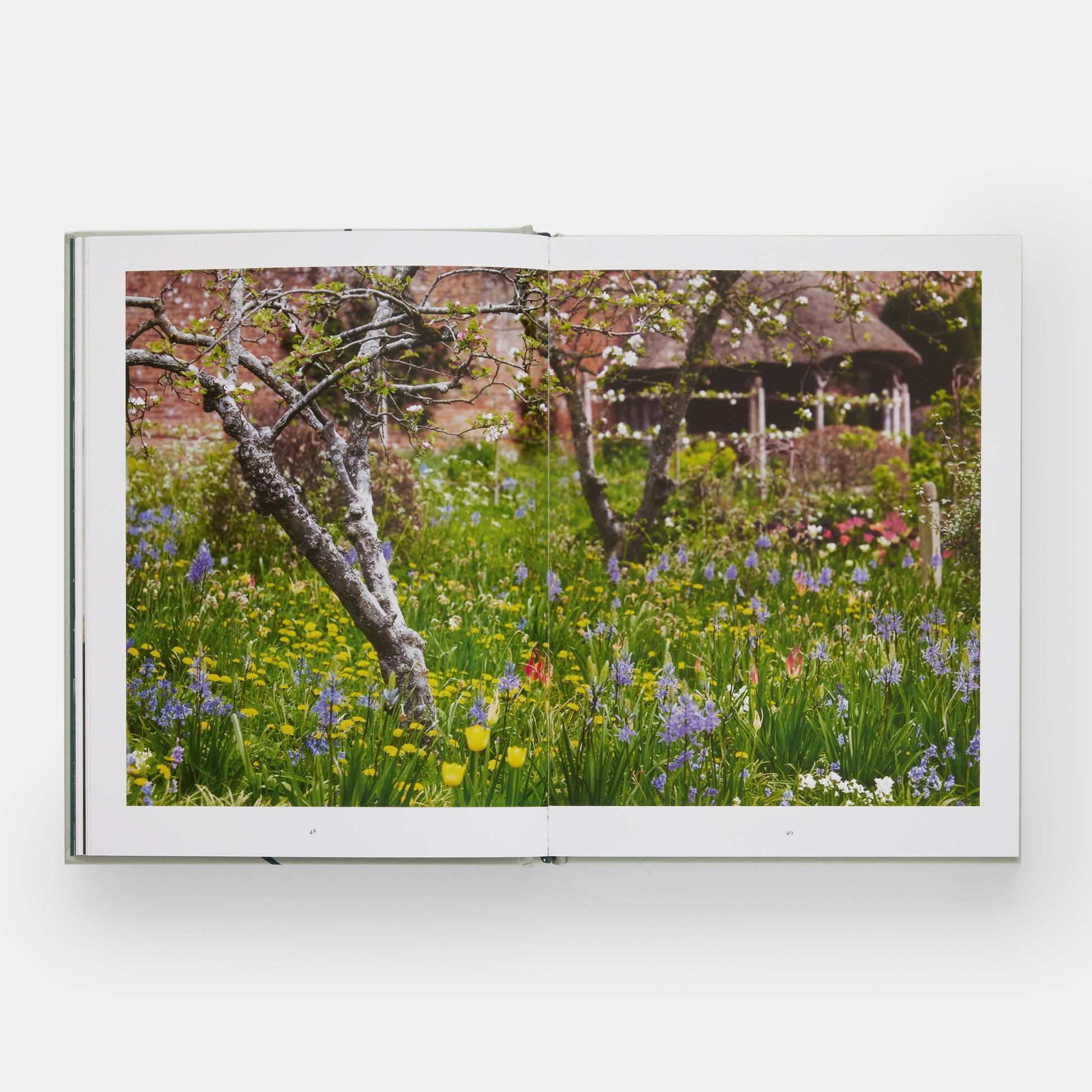 El jardín de tulipanes: cultivo y recolección de especies, variedades raras y anuales