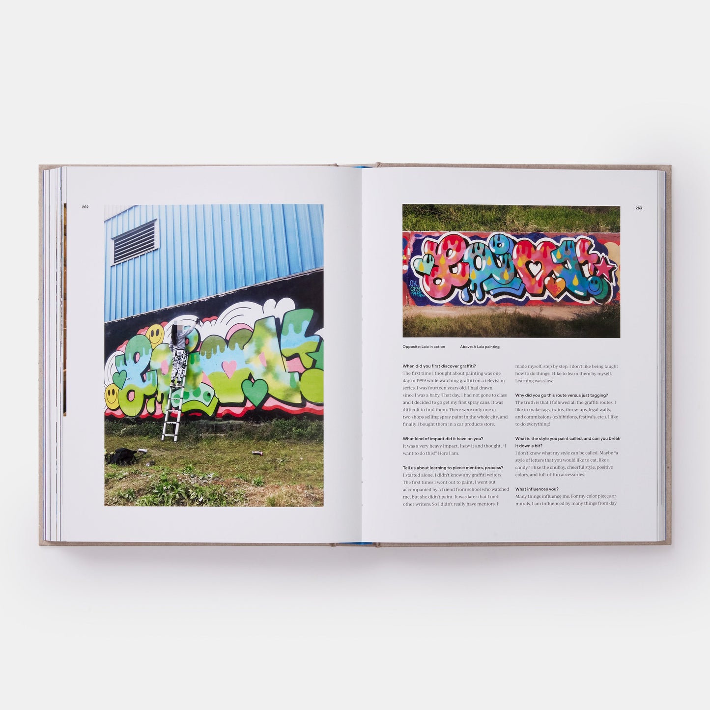 THE WIDE WORLD OF GRAFFITI