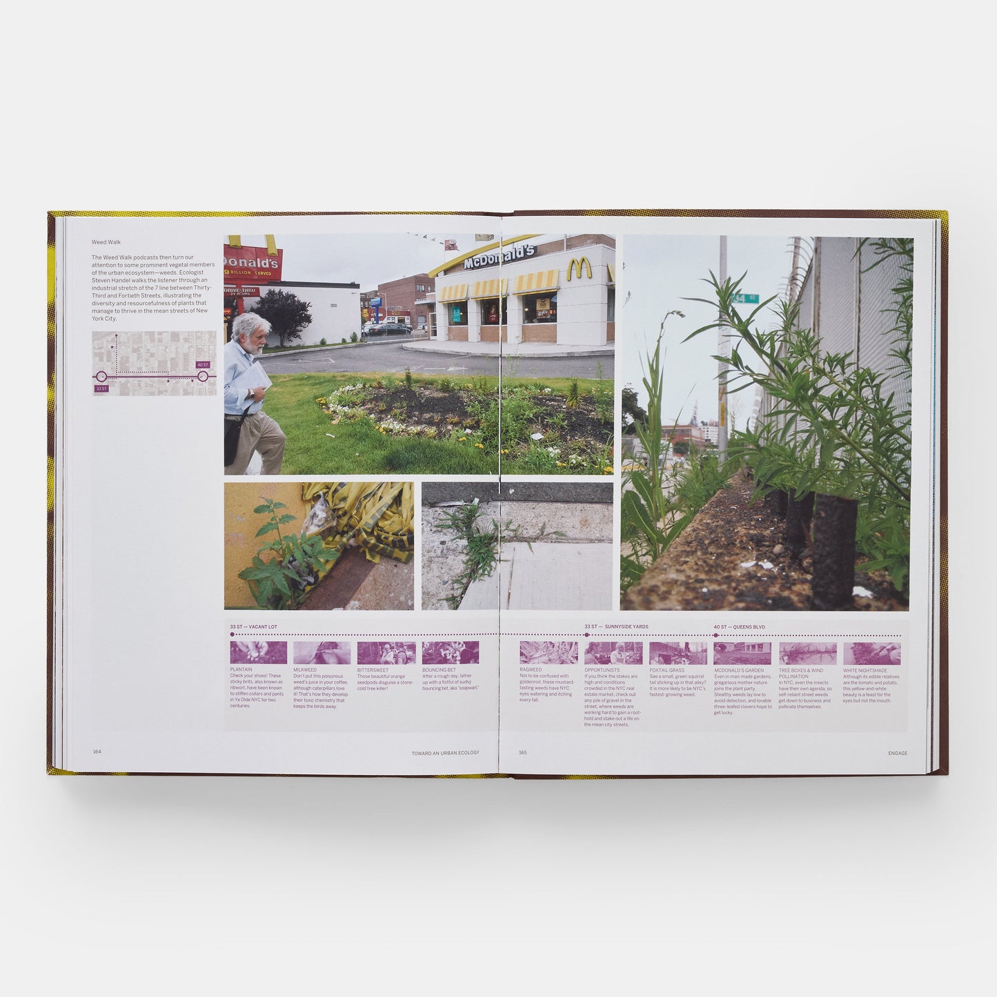 TOWARD AN URBAN ECOLOGY: SCAPE / LANDSCAPE ARCHITECTURE