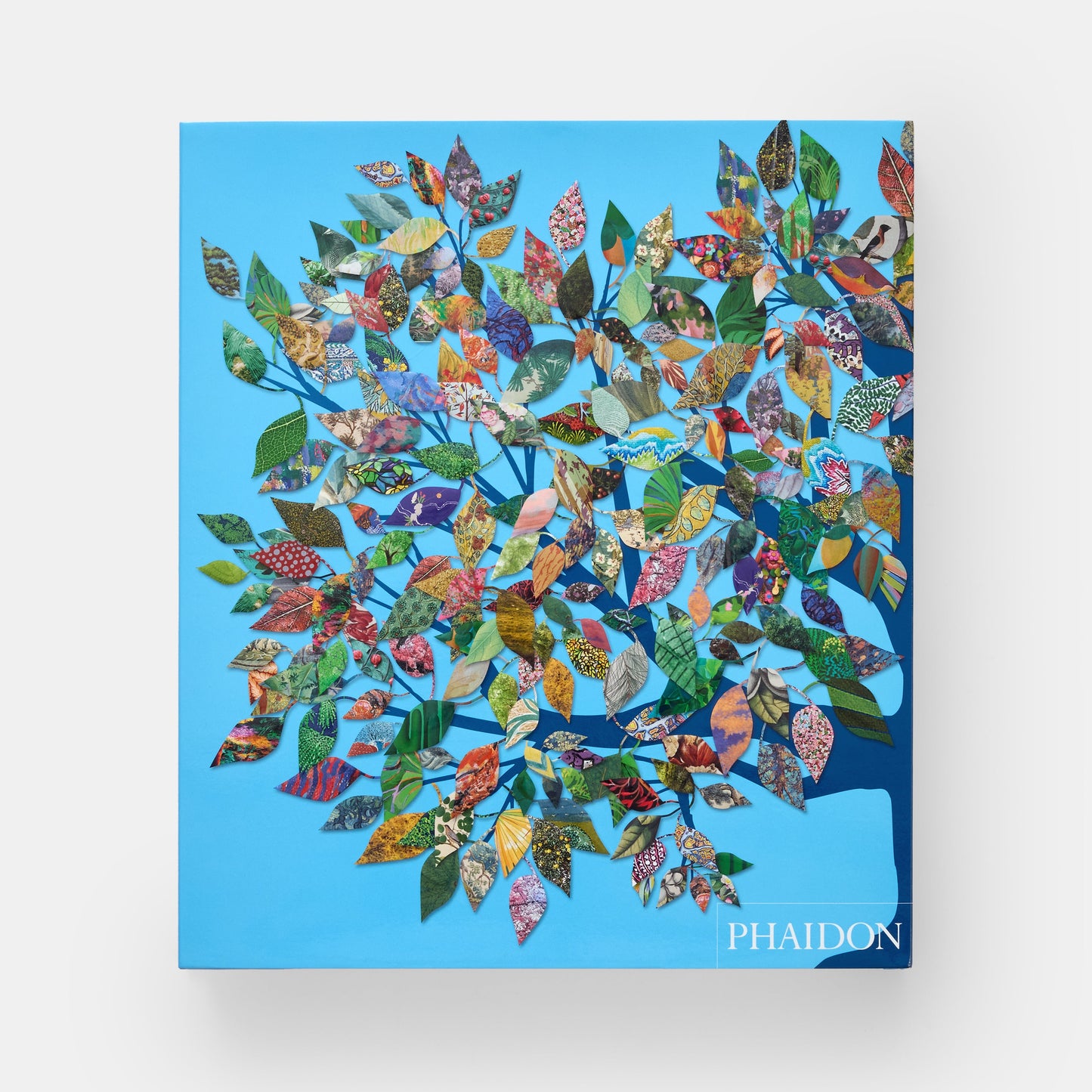 Árbol: Explorando el mundo arbóreo