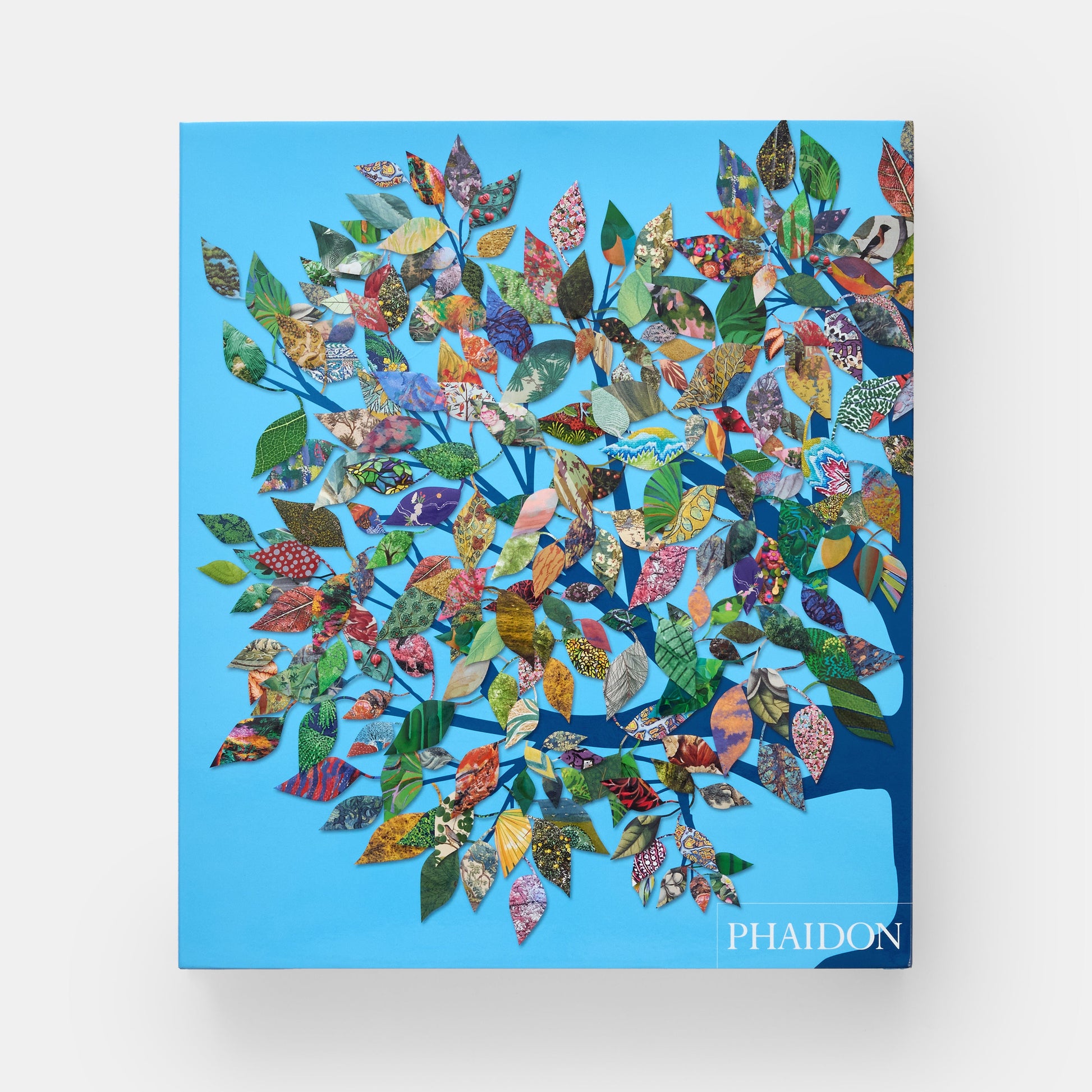 Árbol: Explorando el mundo arbóreo