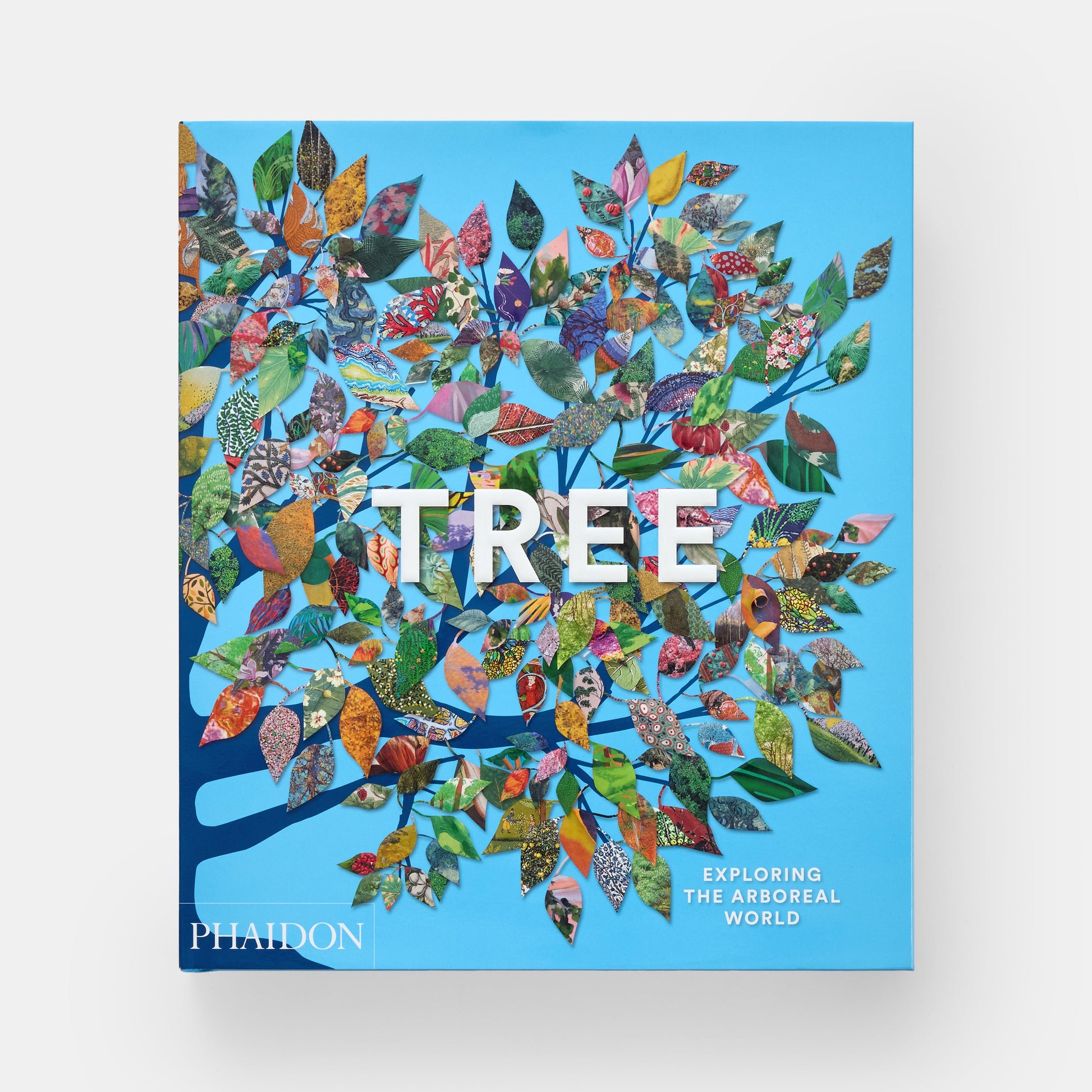 Árbol: Explorando el mundo arbóreo